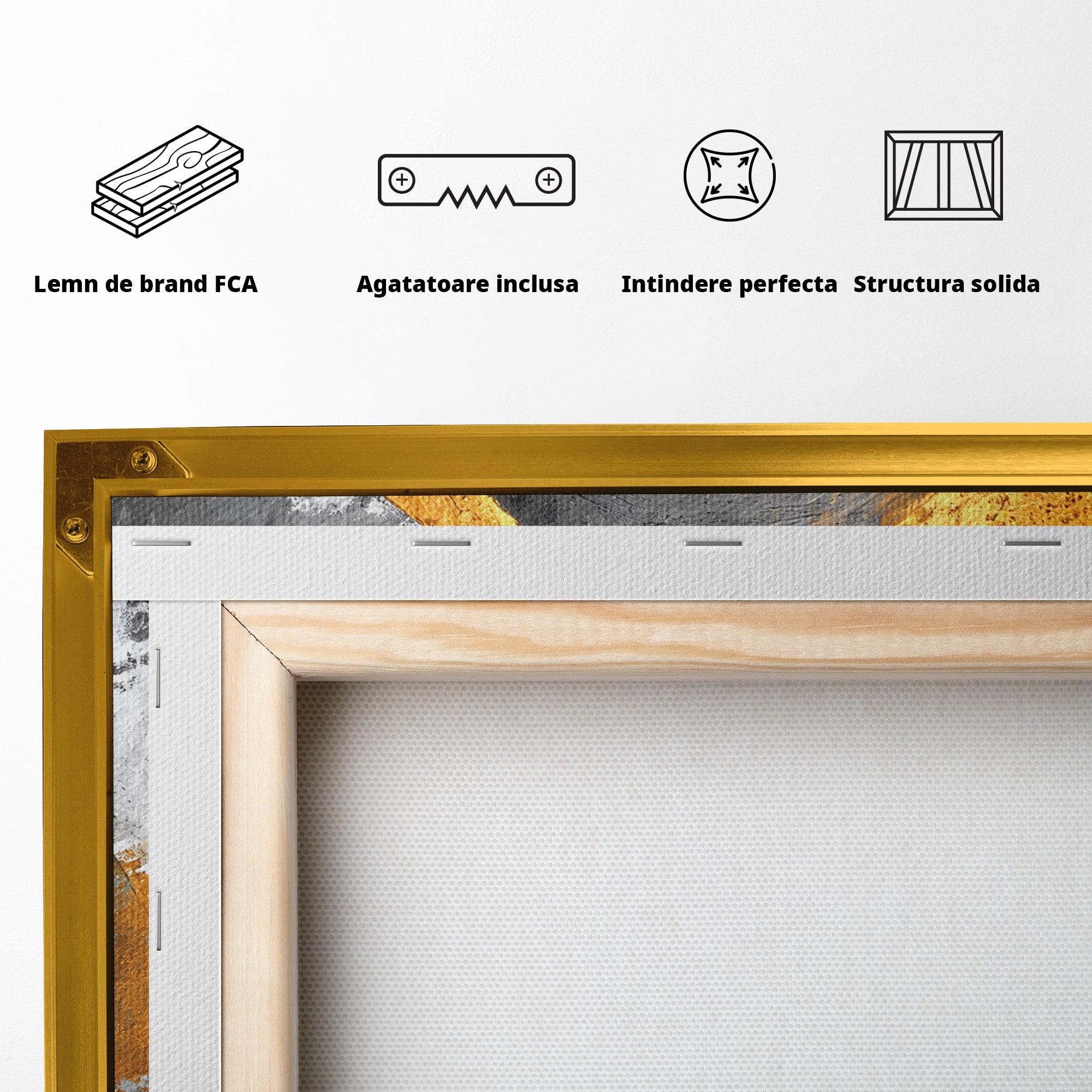 Tablou Canvas Premium LuxCanva® C1356, Armonia Culorilor, Armonie, Abstract, Simbol, Energetic, Living, Culori Vibrante