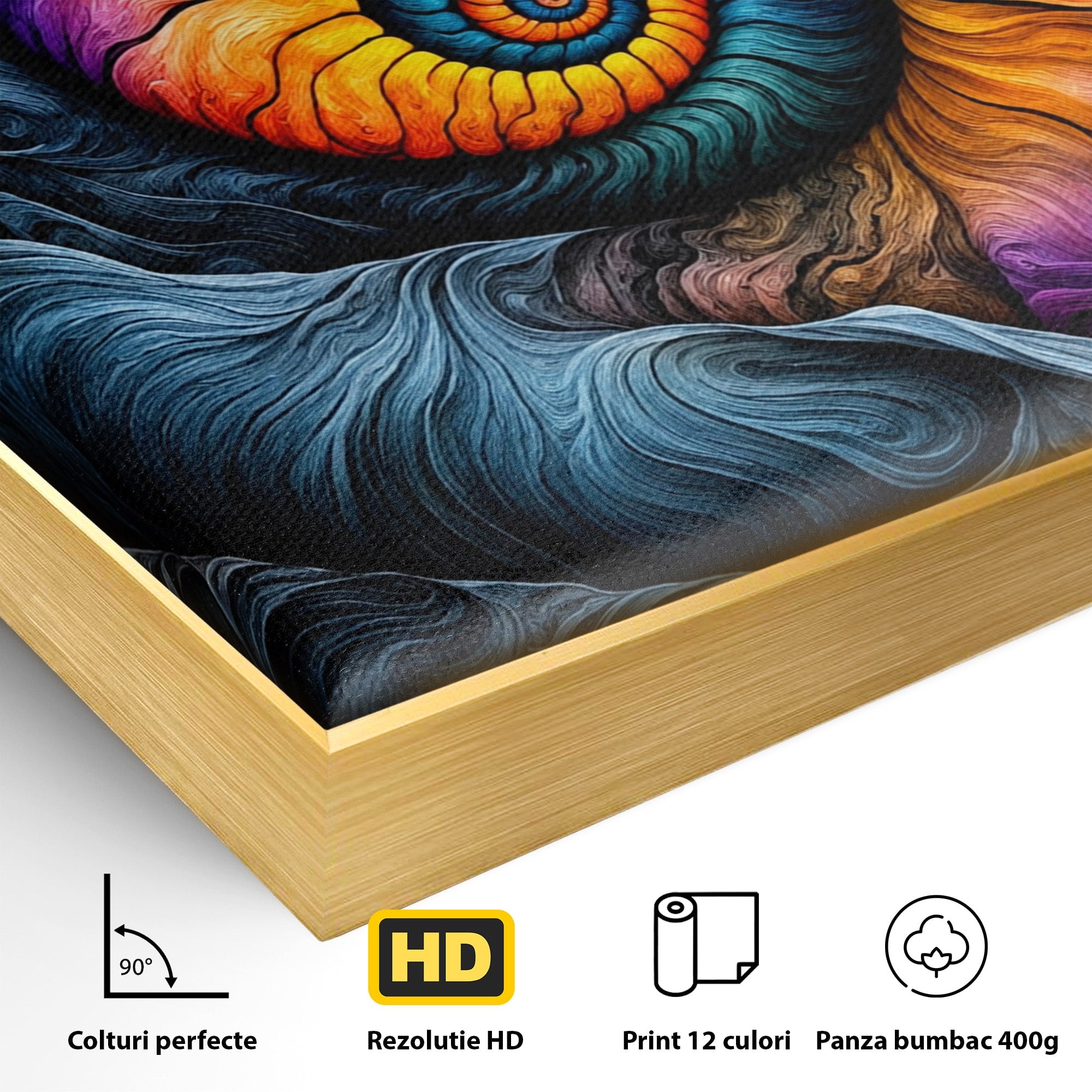Tablou Canvas Premium LuxCanva® C1367, Spirala Infinitului, Spirala, Abstract, Mister, Vise, Dormitor, Living, Culori Vibrante