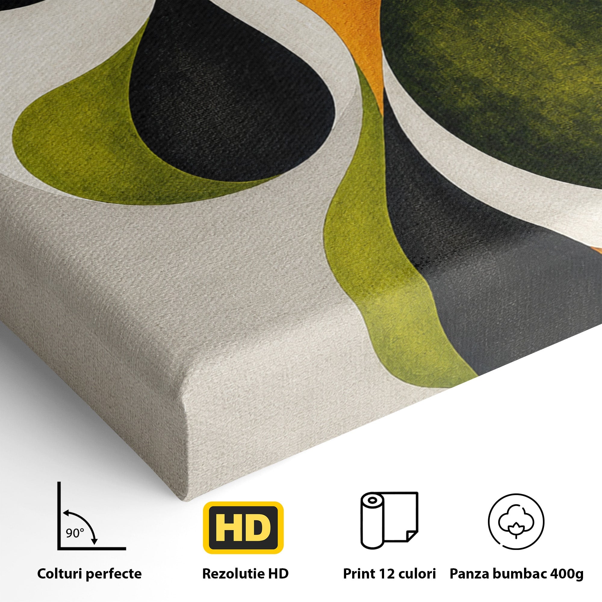Tablou Canvas Premium LuxCanva® C1381, Forme Abstracte Organice, Abstract, Forme, Modern, Living, Birou, Culori Vibrante