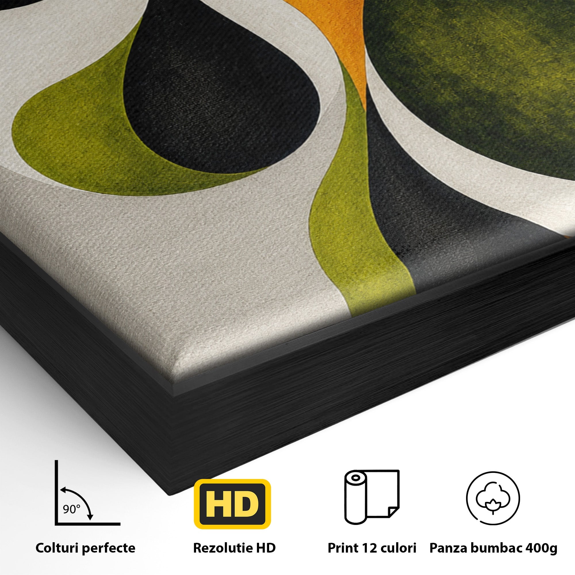 Tablou Canvas Premium LuxCanva® C1381, Forme Abstracte Organice, Abstract, Forme, Modern, Living, Birou, Culori Vibrante
