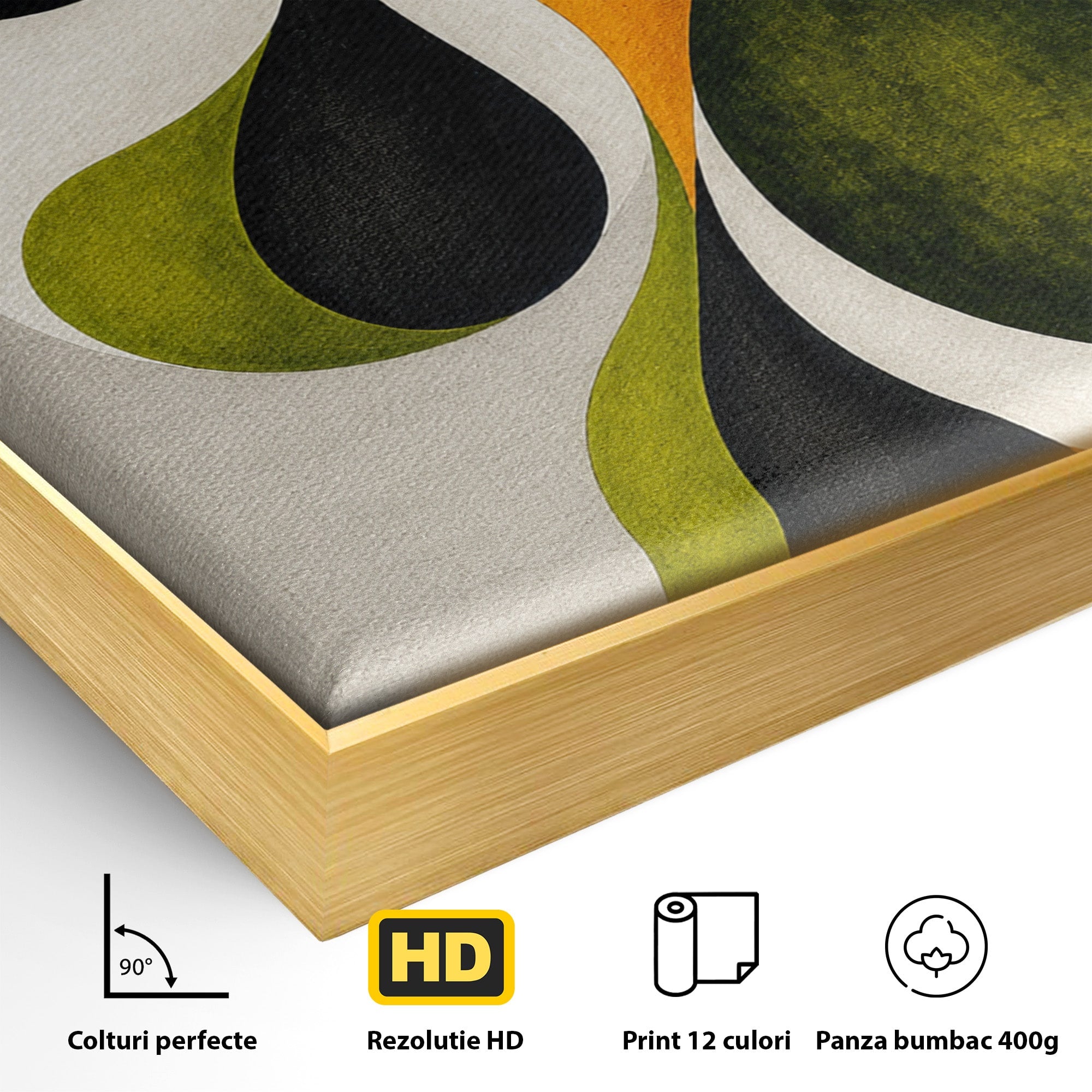 Tablou Canvas Premium LuxCanva® C1381, Forme Abstracte Organice, Abstract, Forme, Modern, Living, Birou, Culori Vibrante