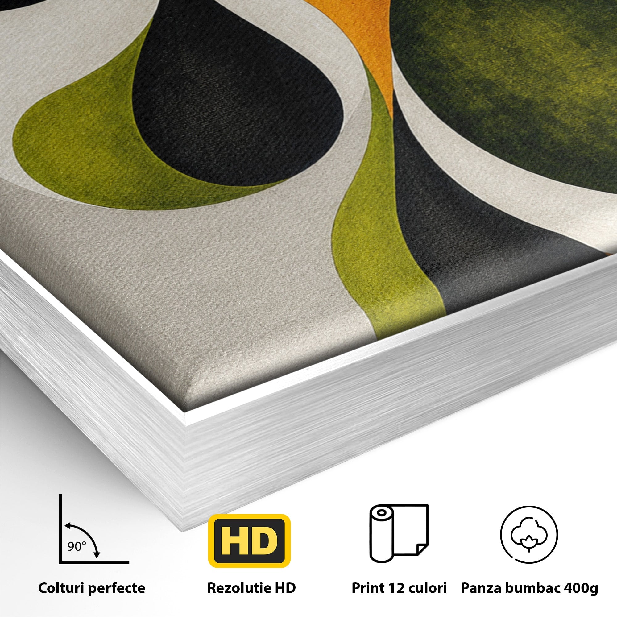 Tablou Canvas Premium LuxCanva® C1381, Forme Abstracte Organice, Abstract, Forme, Modern, Living, Birou, Culori Vibrante