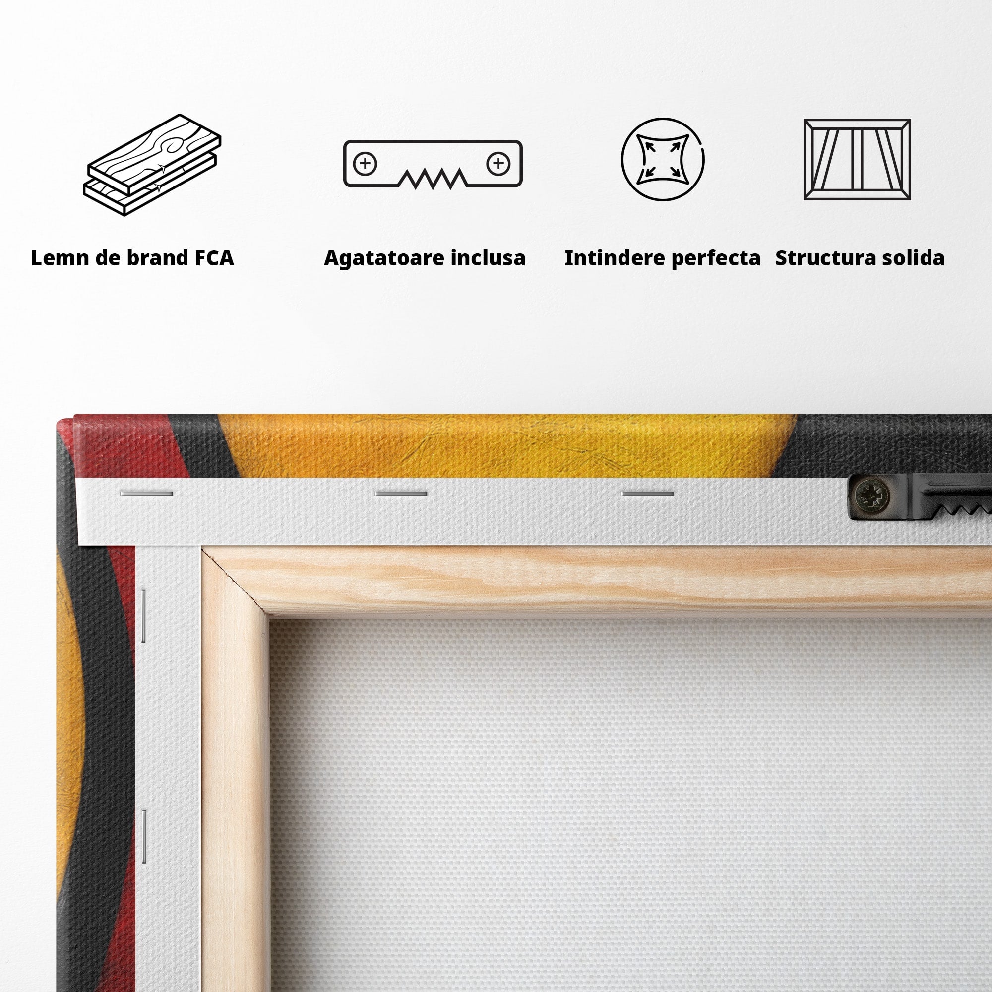 Tablou Canvas Premium LuxCanva® C1382, Cercuri Abstracte, Abstract, Cercuri, Modern, Living, Birou, Culori Vibrante