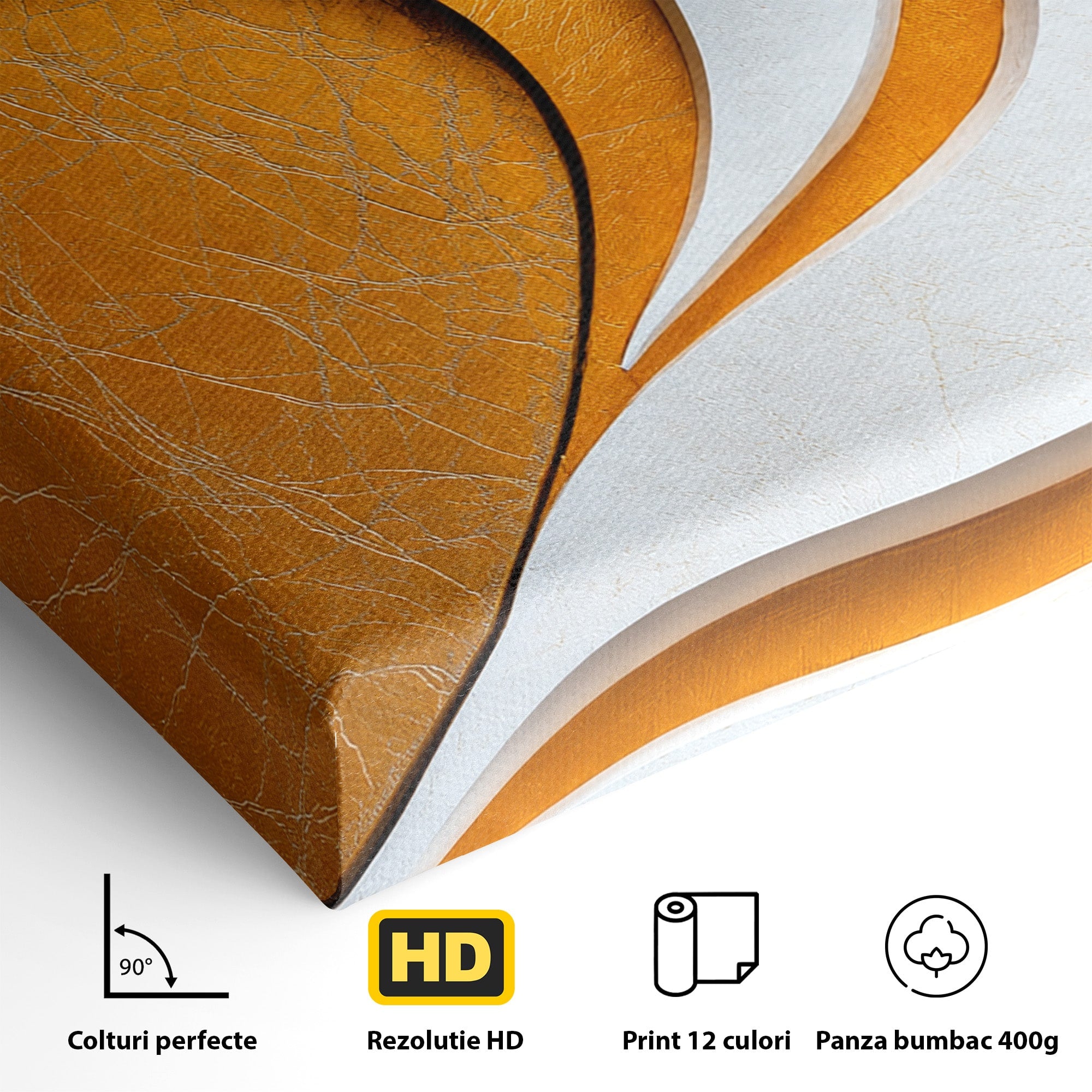 Tablou Canvas Premium LuxCanva® C1385, Necunoscuta Aurie, Abstract, Modern, Arta Contemporana, Alb, Eleganta, Birou, Culori Vibrante