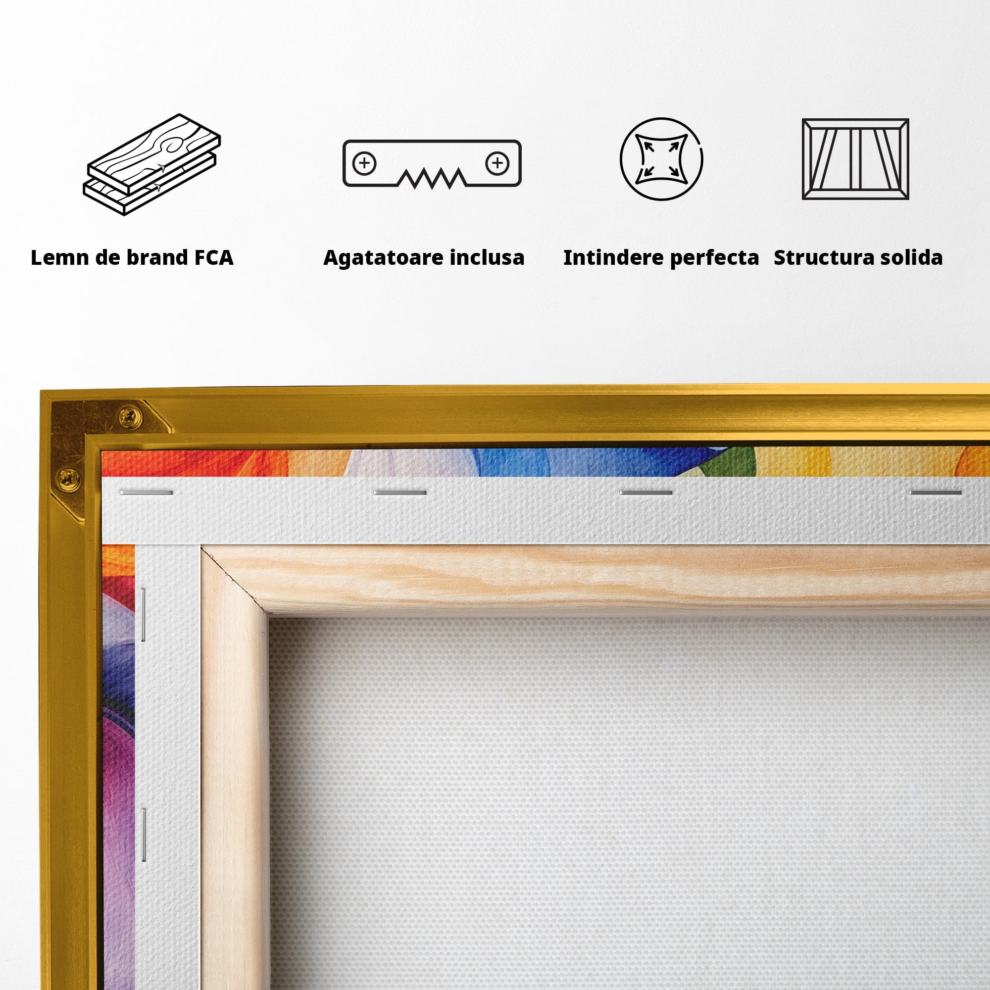 Tablou Canvas Premium LuxCanva® C1387, Fantezie Abstracta, Abstract, Culori, Vibrante, Arta, Living, Culori Vibrante