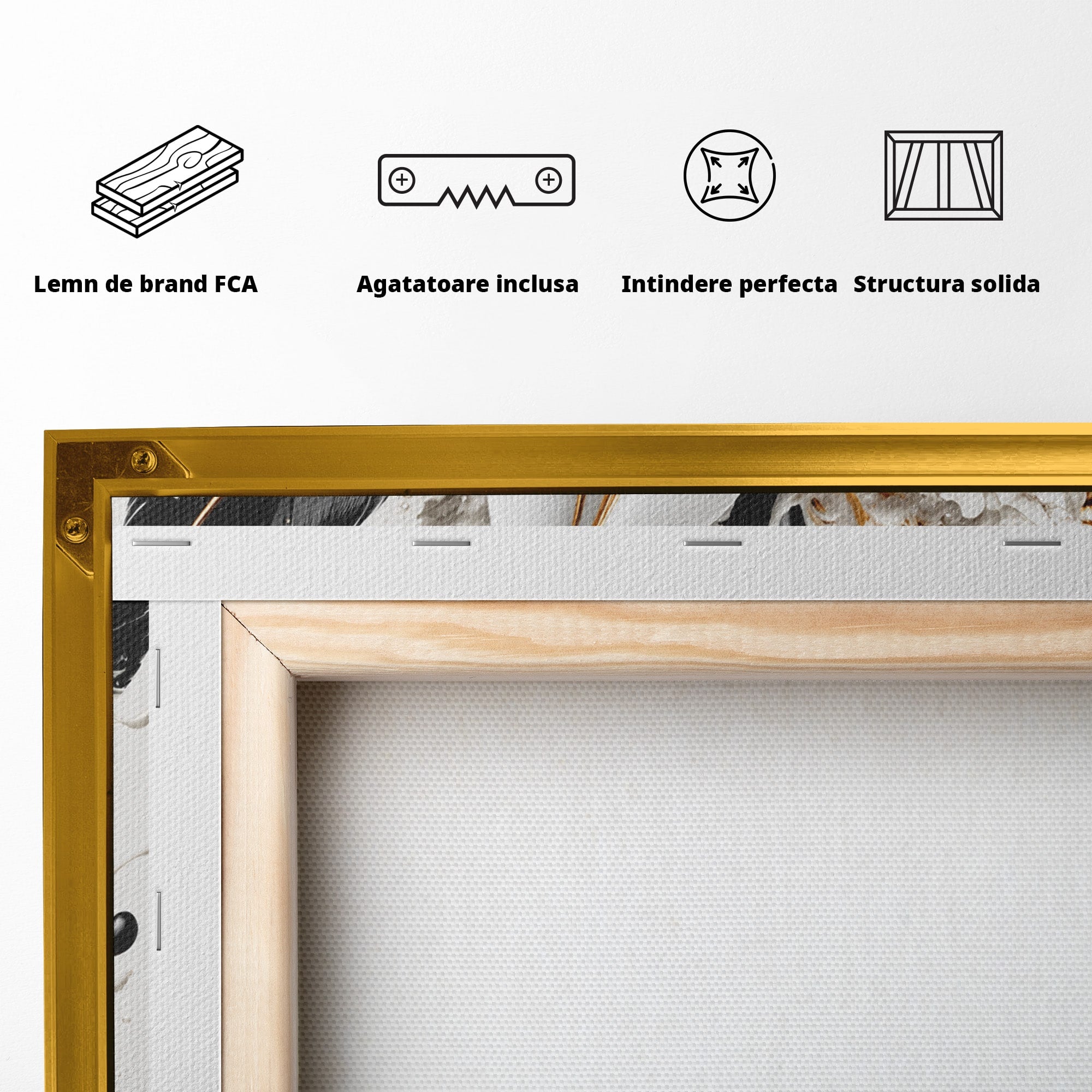 Tablou Canvas Premium LuxCanva® C1403, Armonie De Pene, Pene, Abstract, Eleganta, Arta Moderna, Living, Culori Vibrante