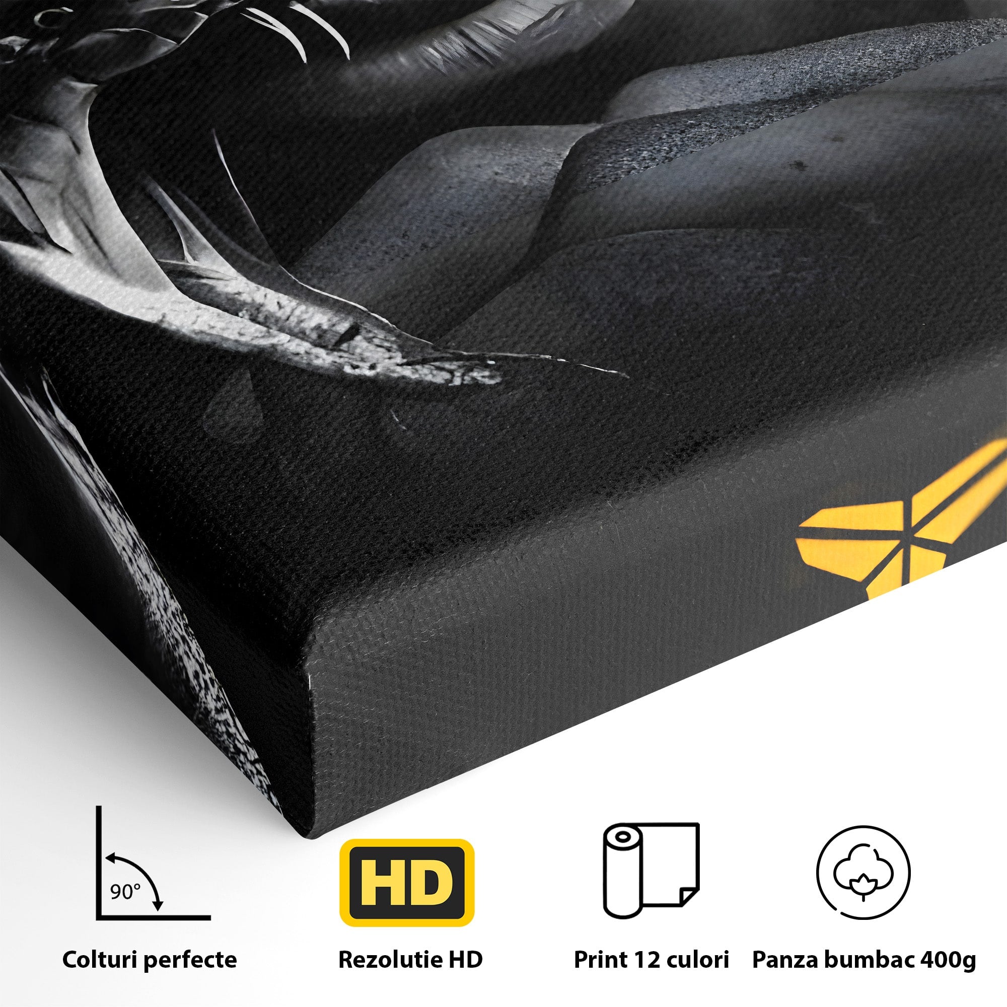 Tablou Canvas Premium LuxCanva® C1177, Mamba Neagra, Portret, Sport, Legenda, Dormitor, Birou, Culori Vibrante