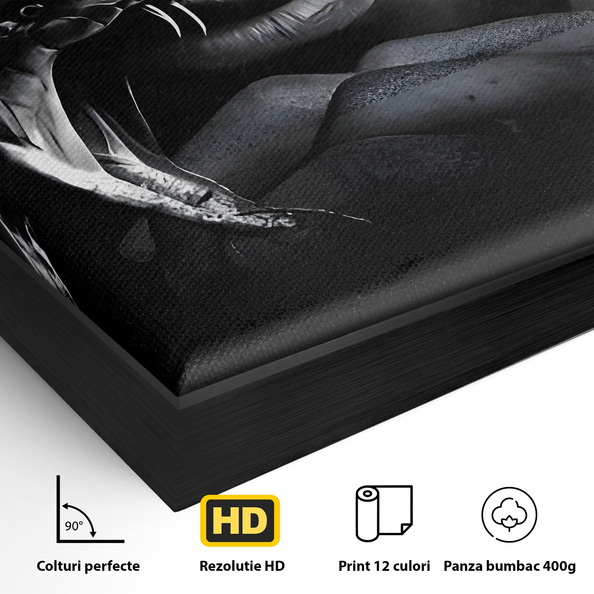 Tablou Canvas Premium LuxCanva® C1177, Mamba Neagra, Portret, Sport, Legenda, Dormitor, Birou, Culori Vibrante