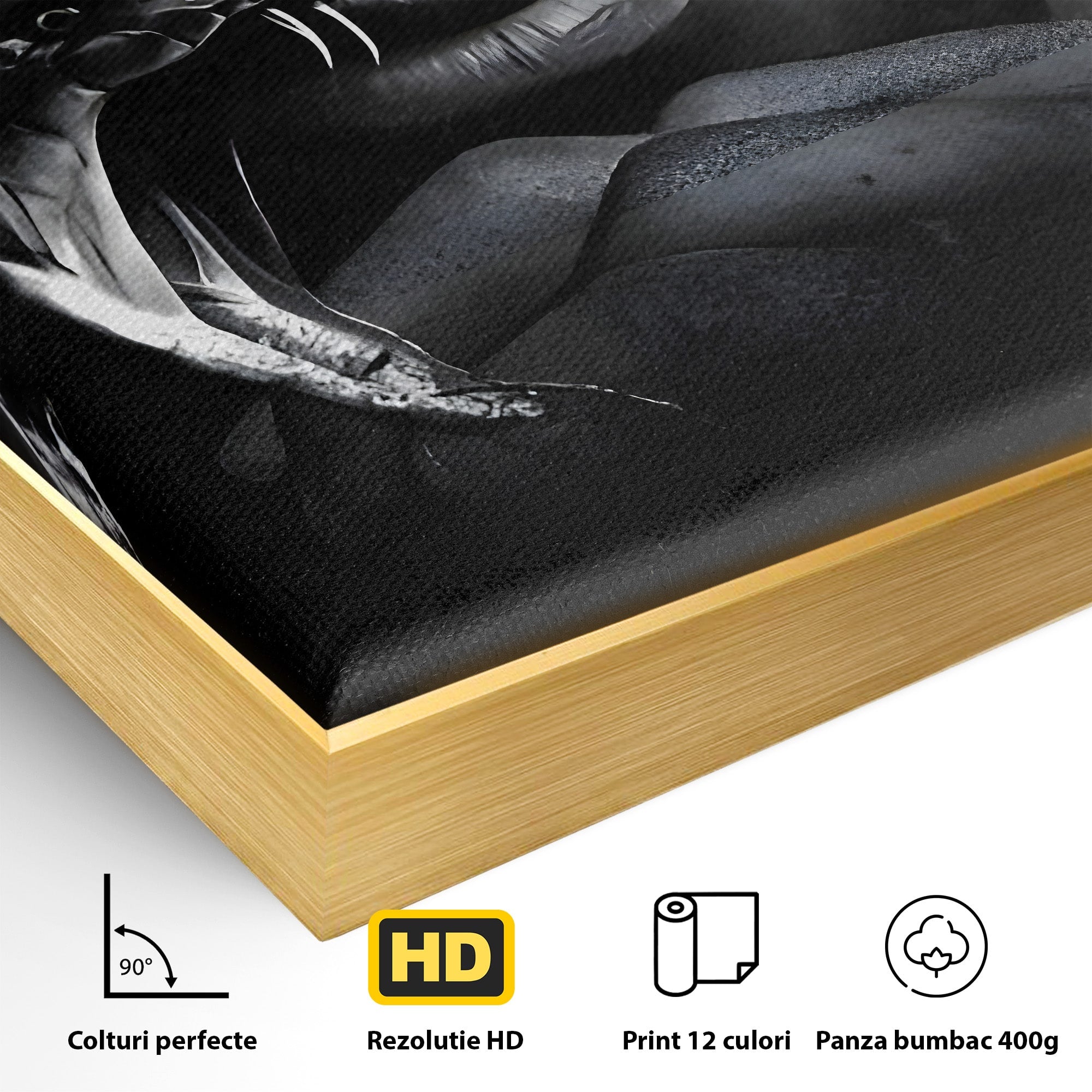 Tablou Canvas Premium LuxCanva® C1177, Mamba Neagra, Portret, Sport, Legenda, Dormitor, Birou, Culori Vibrante