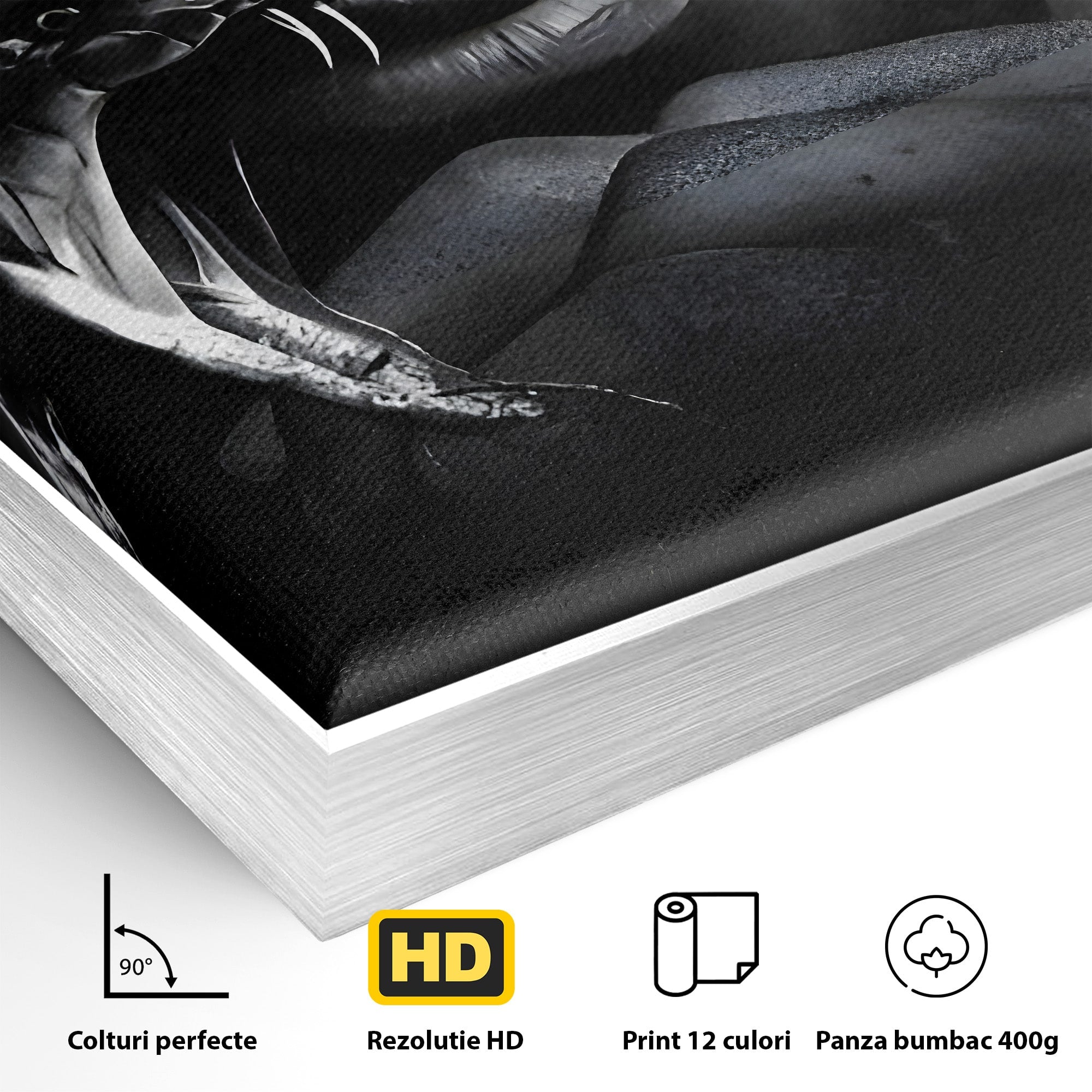 Tablou Canvas Premium LuxCanva® C1177, Mamba Neagra, Portret, Sport, Legenda, Dormitor, Birou, Culori Vibrante