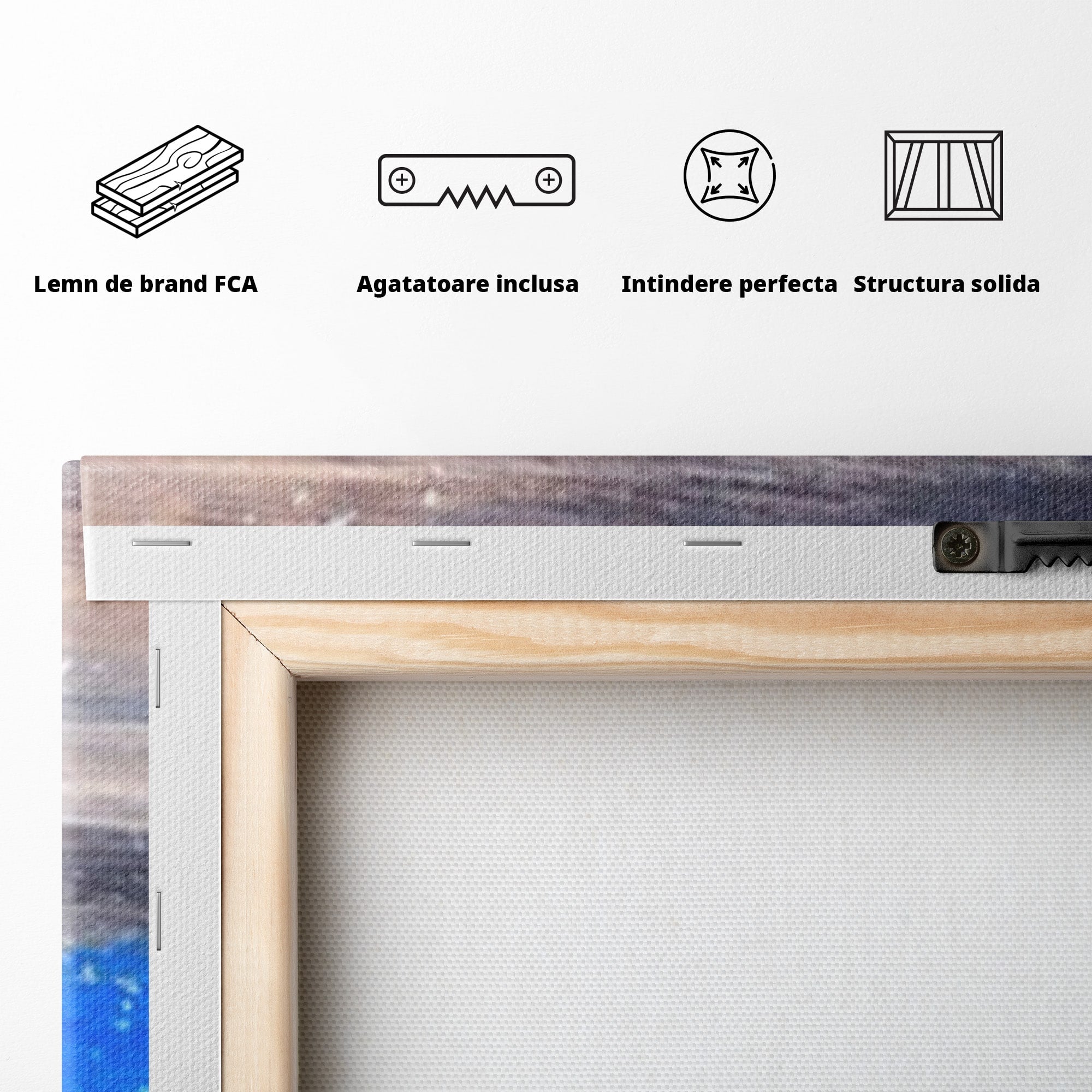 Set 2 Tablouri Canvas Premium LuxCanva® C2-1064, Pictura Abstracta, Abstract, Living Room, Office, Relaxare, Culori Vibrante