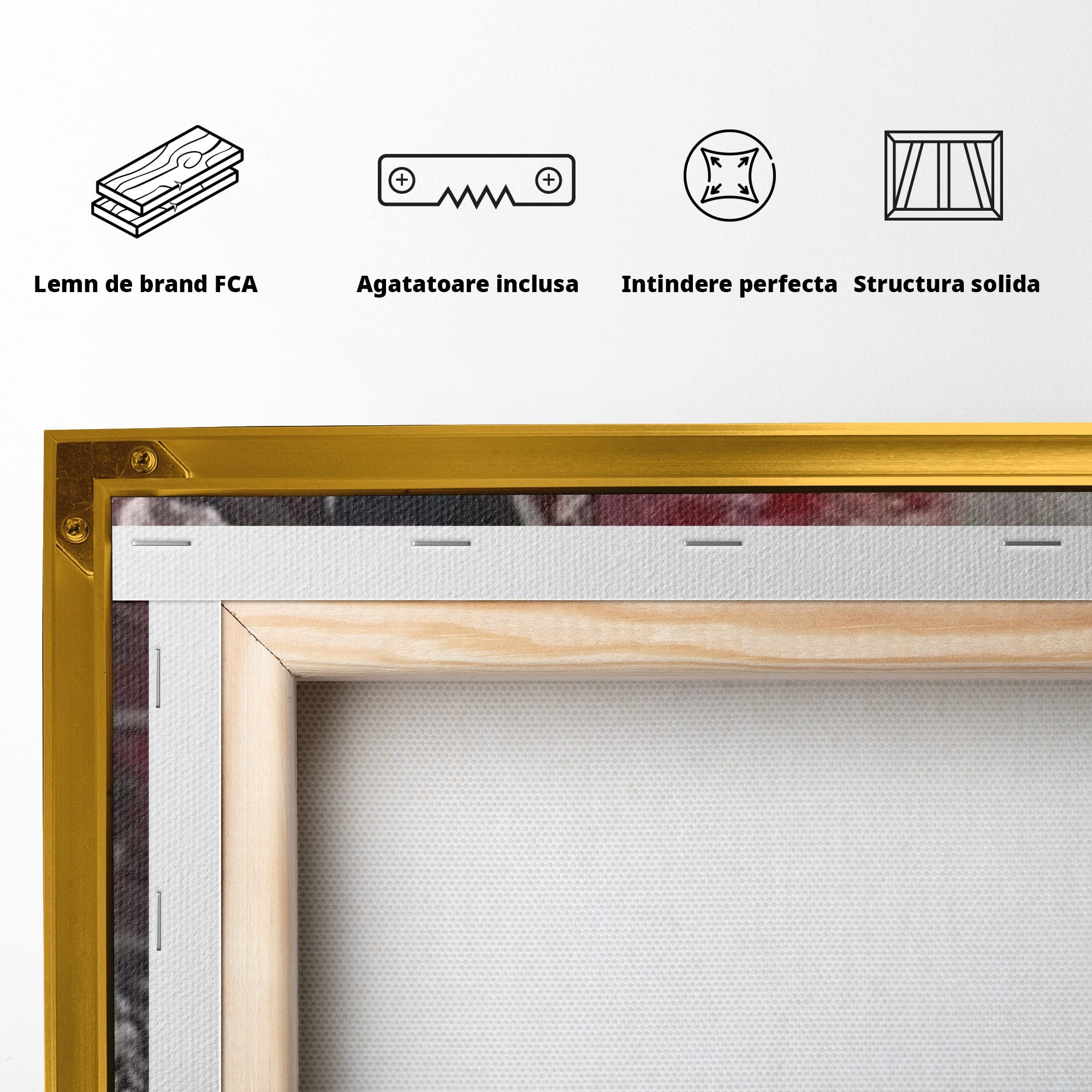 Set 2 Tablouri Canvas Premium LuxCanva® C2-1221, Pete De Culoare Tablou Abstract, Relaxare, Living Room, Culori Vibrante