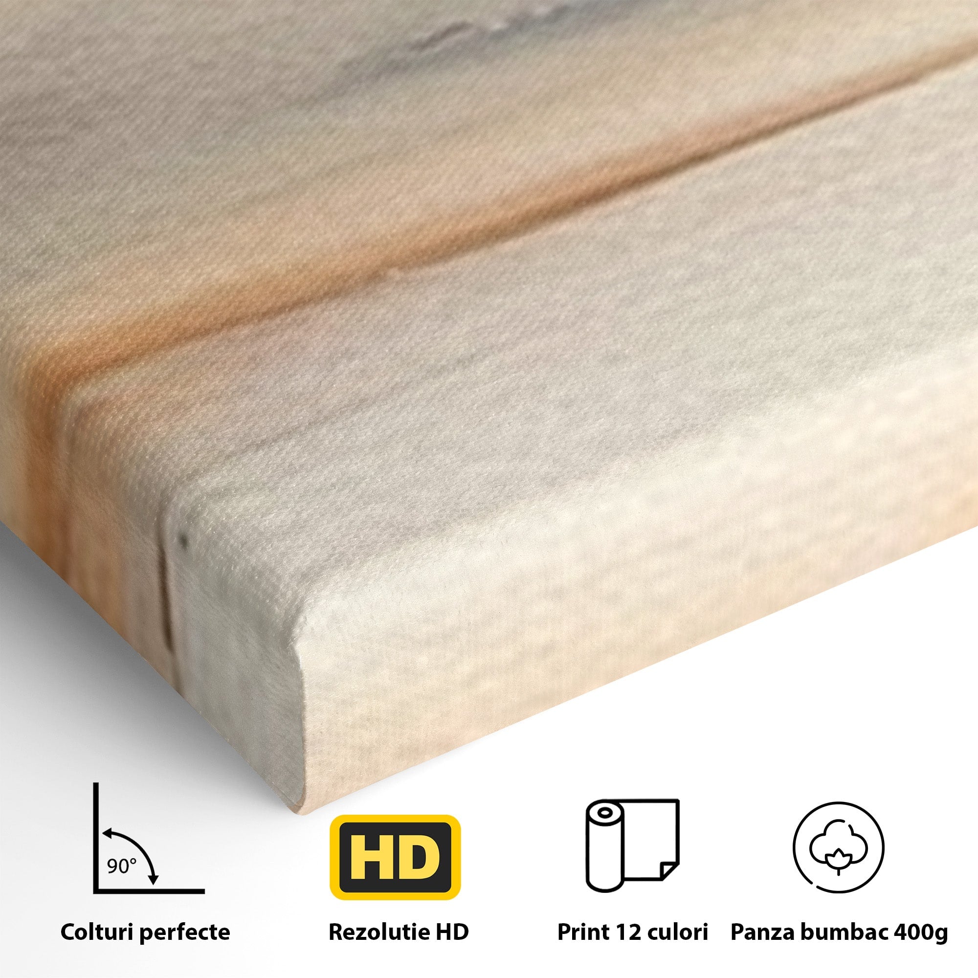 Set 2 Tablouri Canvas Premium LuxCanva® C2-1242, Relaxare, Living Room, Culori Vibrante