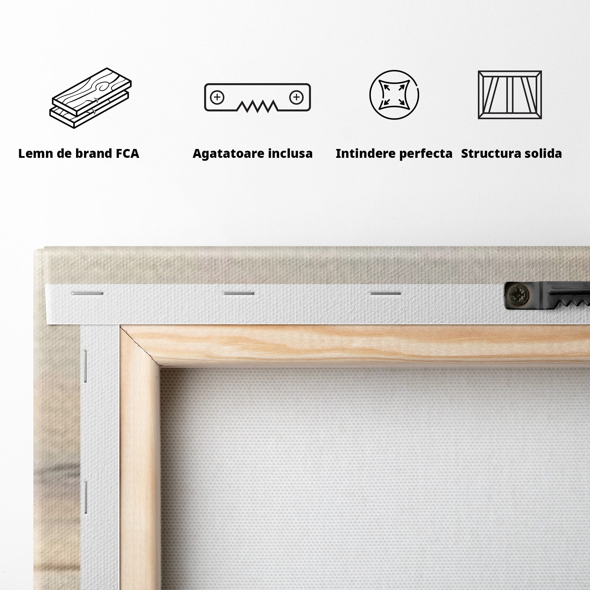 Set 2 Tablouri Canvas Premium LuxCanva® C2-1242, Relaxare, Living Room, Culori Vibrante