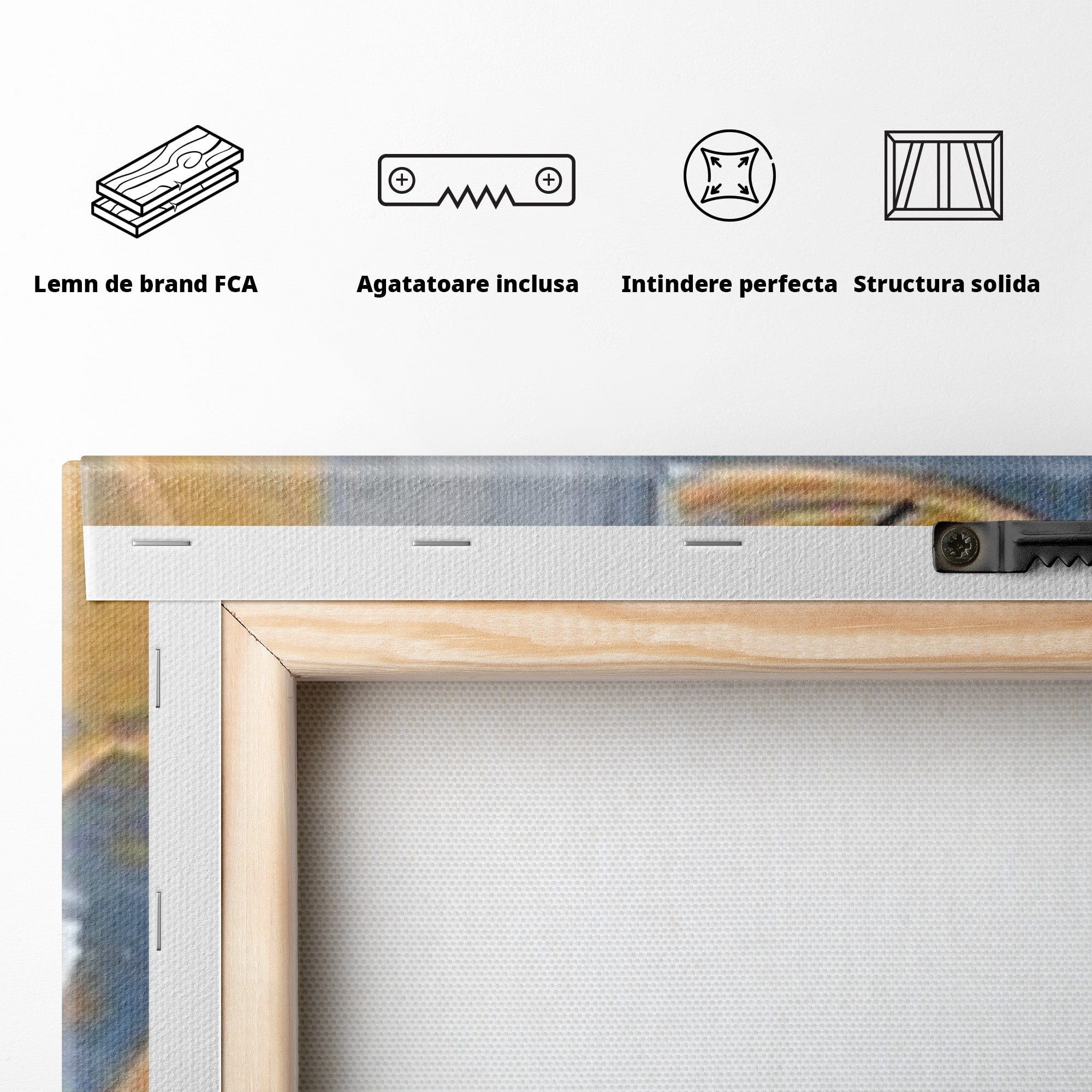 Set 2 Tablouri Canvas Premium LuxCanva® C2-1243, Relaxare, Living Room, Culori Vibrante