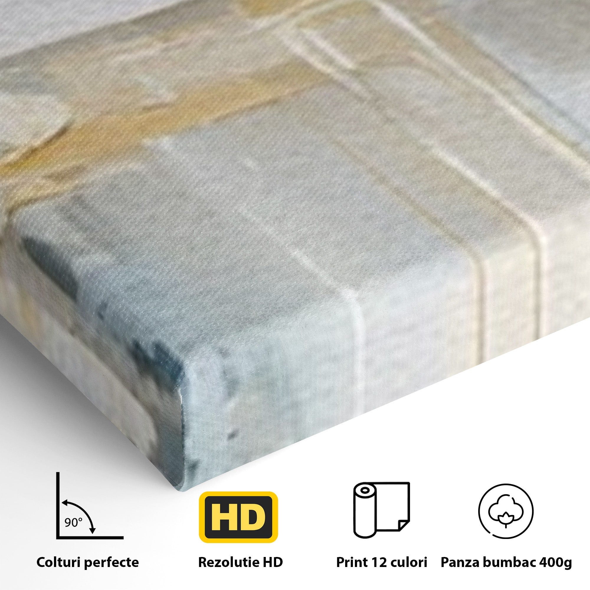Set 2 Tablouri Canvas Premium LuxCanva® C2-1244, Relaxare, Living Room, Culori Vibrante