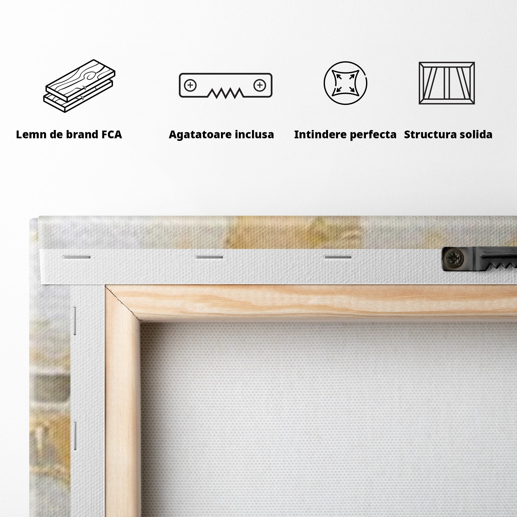 Set 2 Tablouri Canvas Premium LuxCanva® C2-1244, Relaxare, Living Room, Culori Vibrante