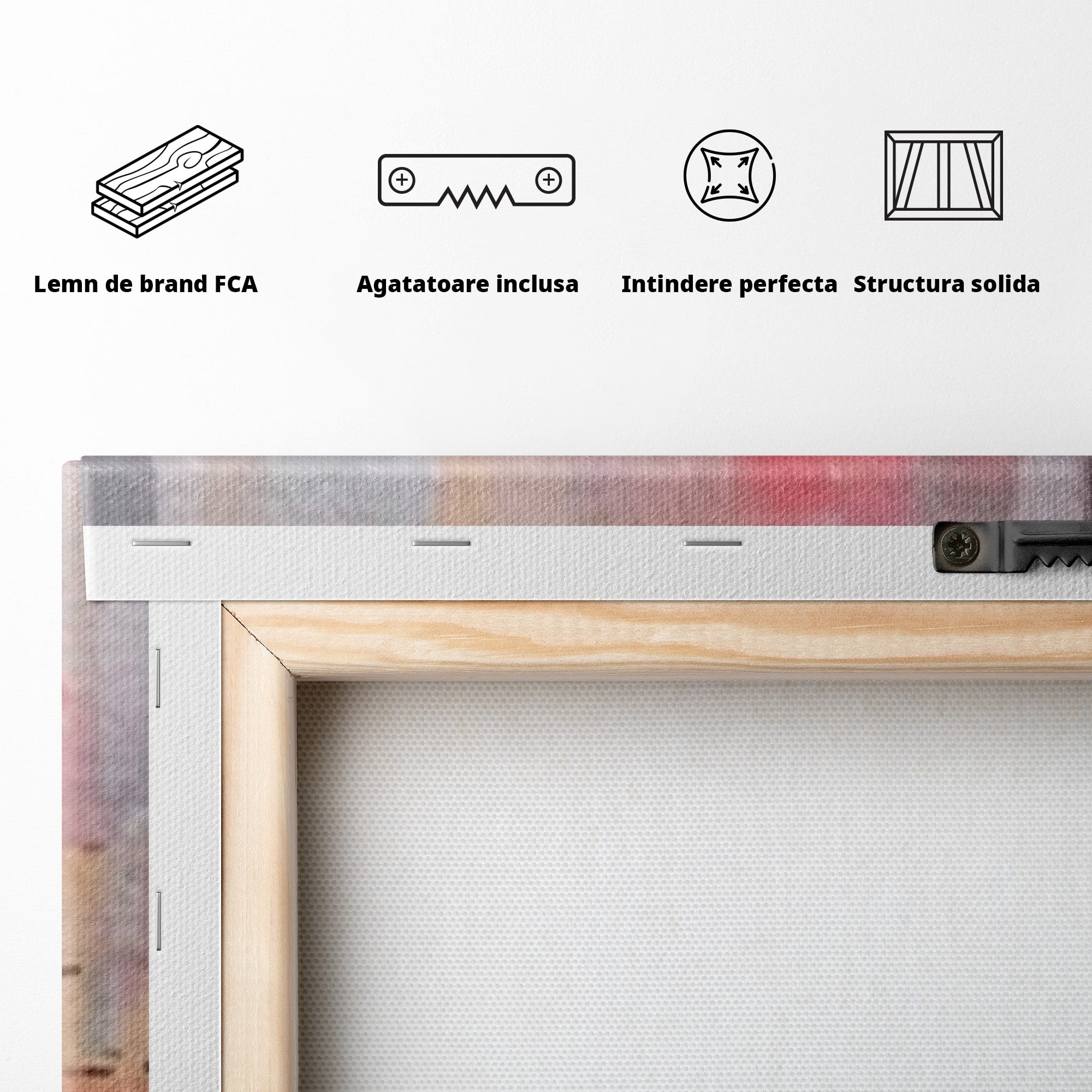 Set 2 Tablouri Canvas Premium LuxCanva® C2-1246, Relaxare, Living Room, Culori Vibrante