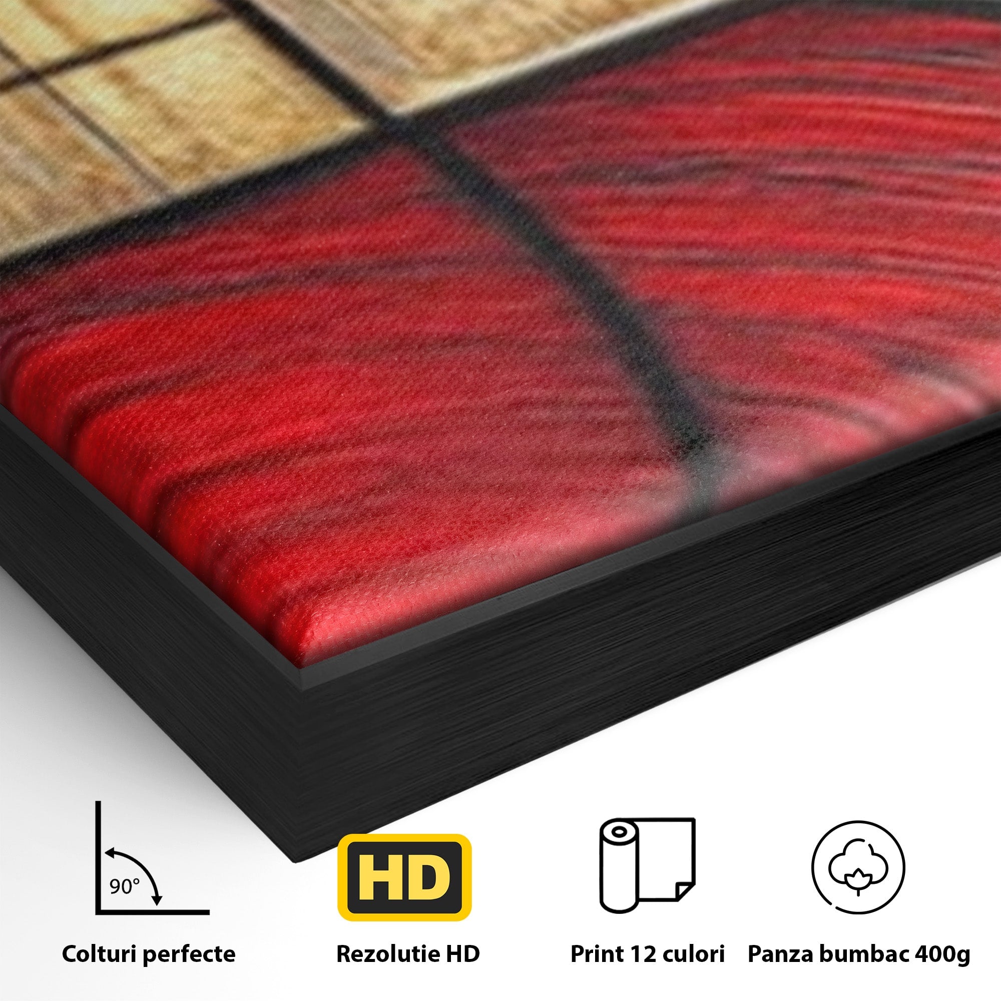 Set 2 Tablouri Canvas Premium LuxCanva® C2-1306, Ordinea pasiunii, Geometrie, Culori, Abstract, Auriu, Rosu, Negru, Minimalism, Design, Cerc, Labirint, Dorinta, Expozitie, Arta, Birou, Living, Dormitor