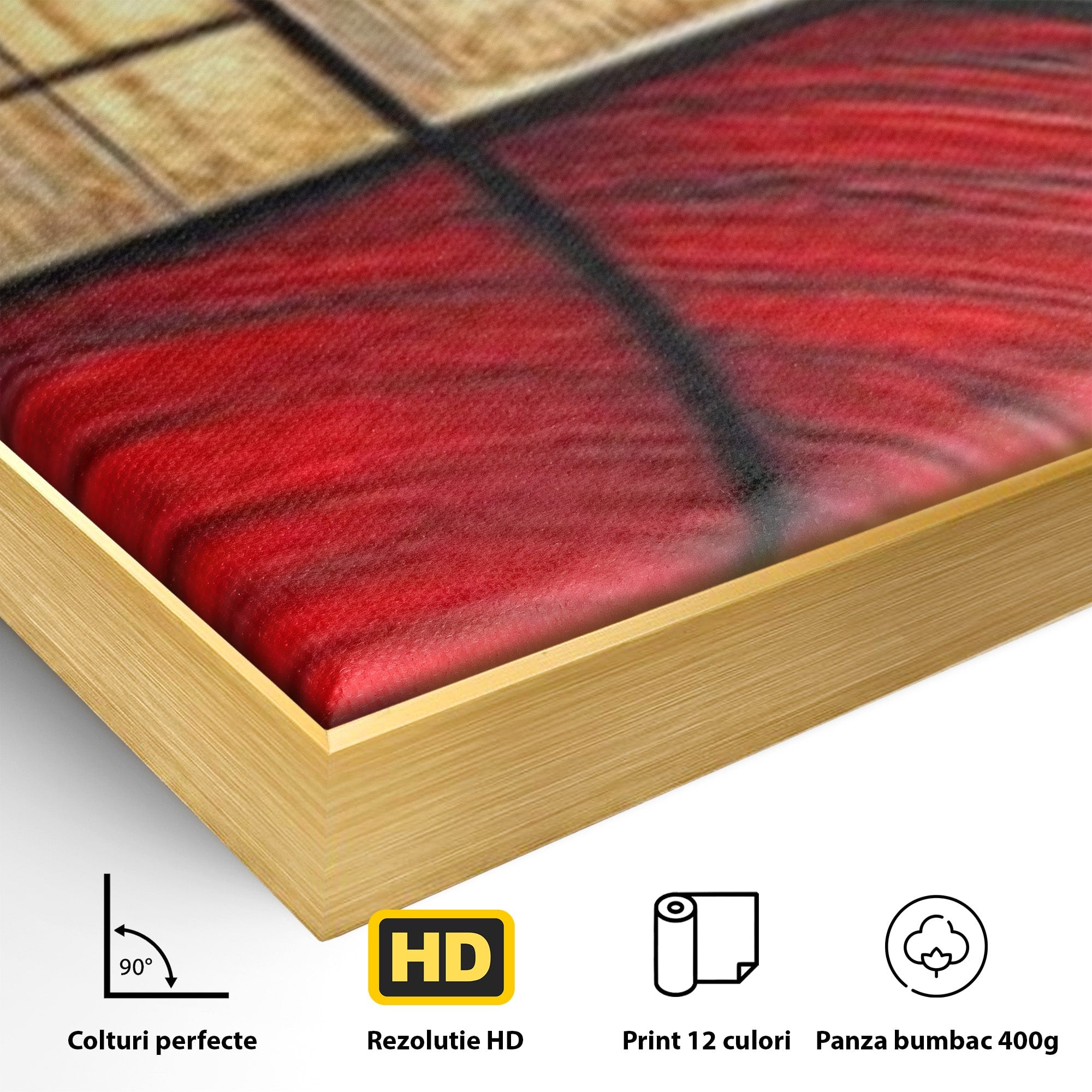 Set 2 Tablouri Canvas Premium LuxCanva® C2-1306, Ordinea pasiunii, Geometrie, Culori, Abstract, Auriu, Rosu, Negru, Minimalism, Design, Cerc, Labirint, Dorinta, Expozitie, Arta, Birou, Living, Dormitor
