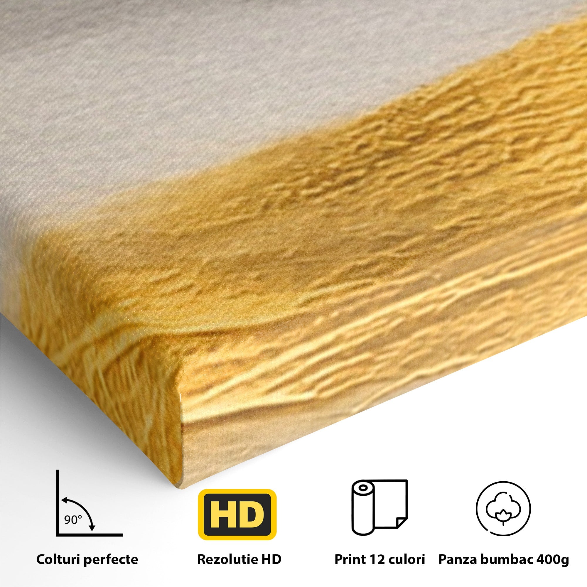 Set 2 Tablouri Canvas Premium LuxCanva® C2-1325, Fluiditate Aurie, Abstract, Modern, Eleganta, Living, Dormitor, Culori Vibrante