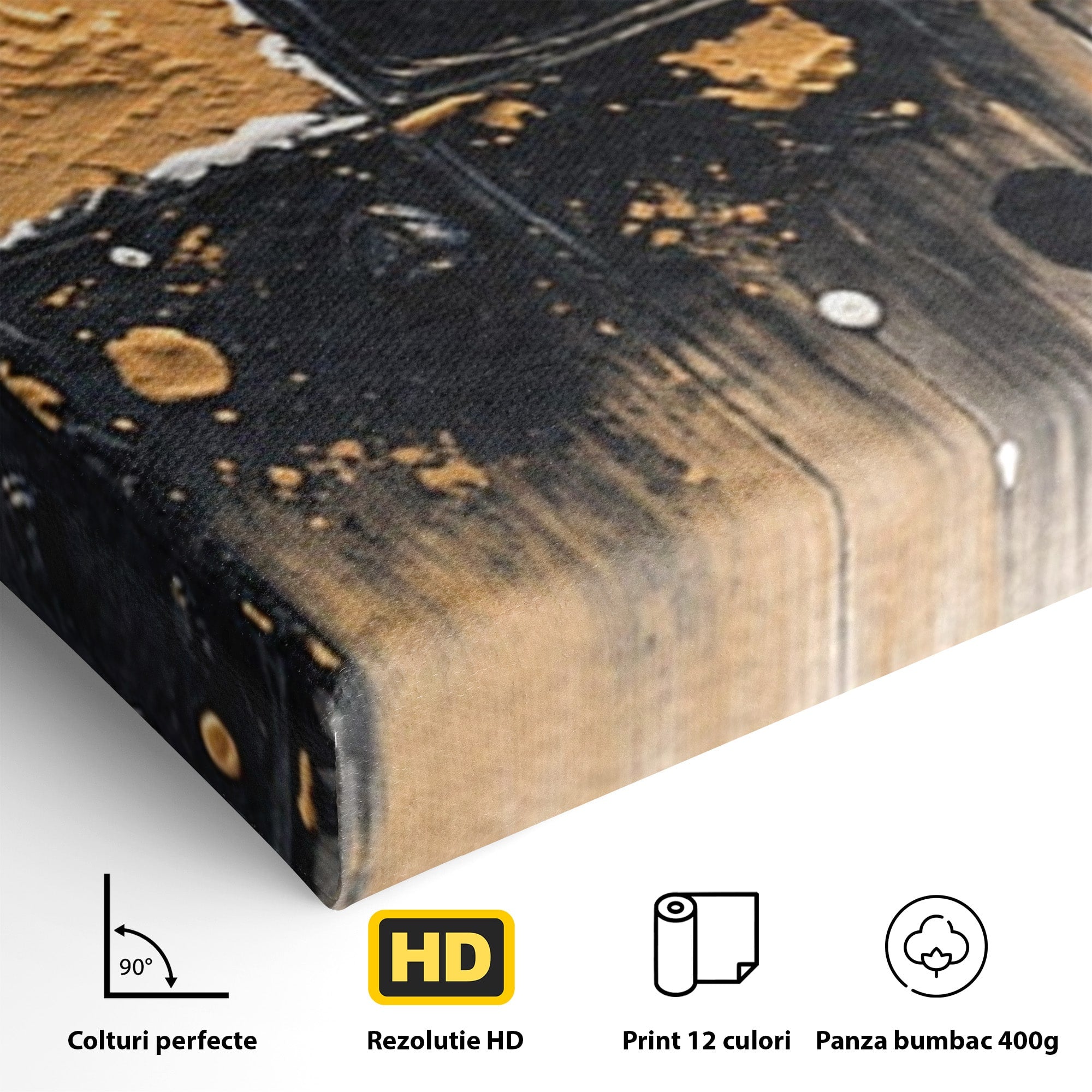 Set 2 Tablouri Canvas Premium LuxCanva® C2-1328, Abstractie Eleganta, Abstractie, Modern, Arta Contemporana, Textura, Living, Birou, Culori Vibrante