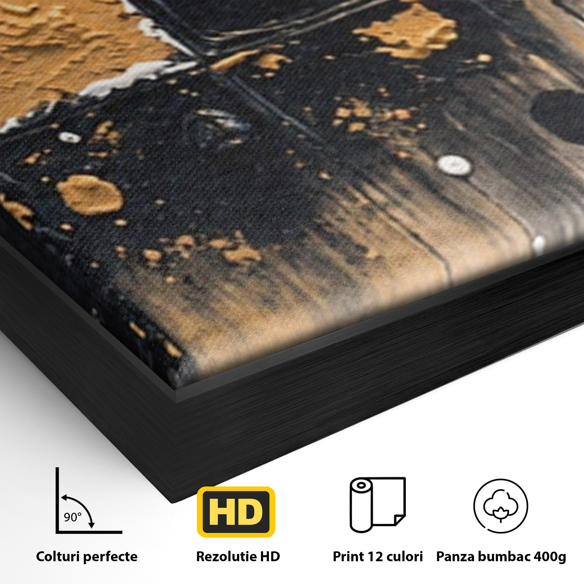 Set 2 Tablouri Canvas Premium LuxCanva® C2-1328, Abstractie Eleganta, Abstractie, Modern, Arta Contemporana, Textura, Living, Birou, Culori Vibrante