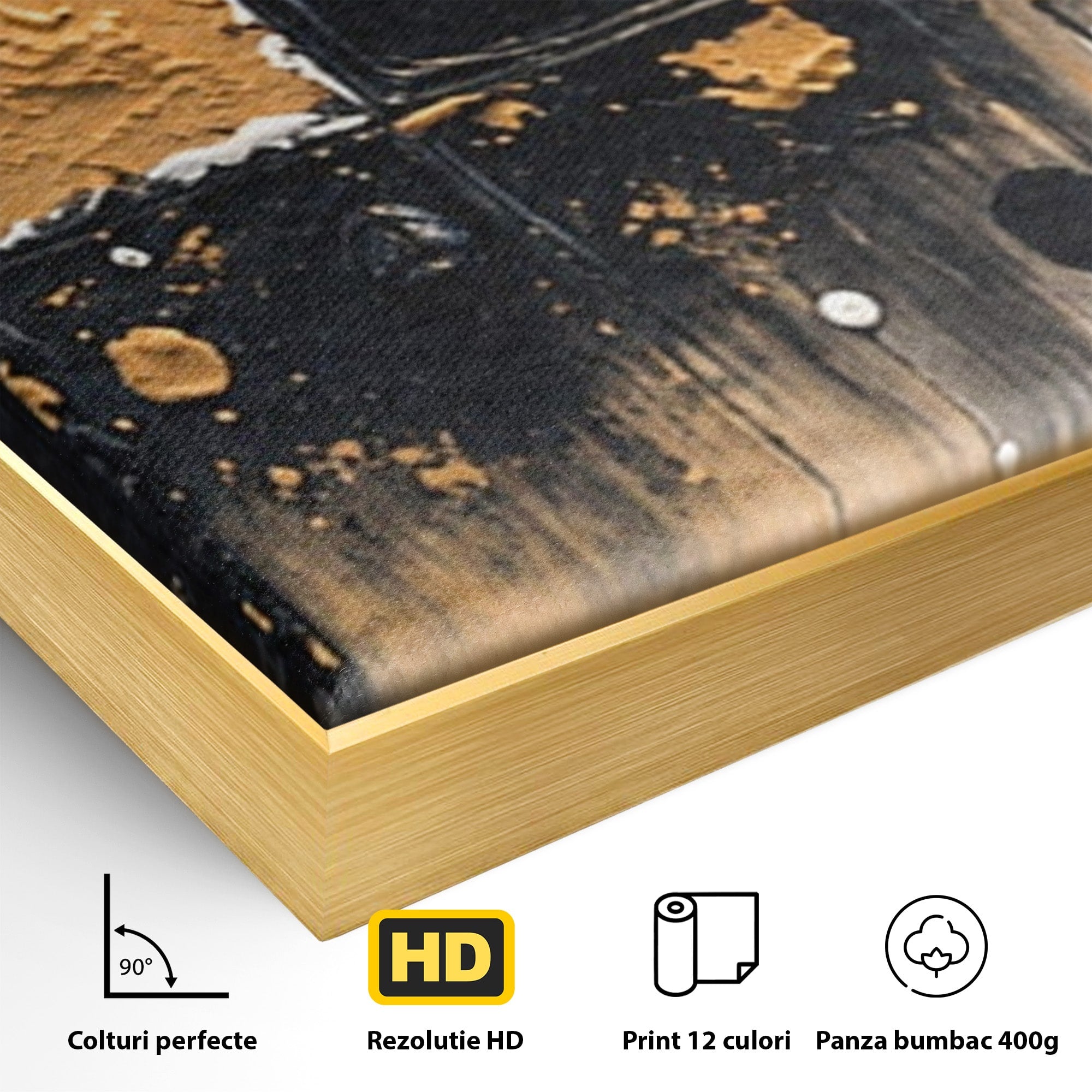Set 2 Tablouri Canvas Premium LuxCanva® C2-1328, Abstractie Eleganta, Abstractie, Modern, Arta Contemporana, Textura, Living, Birou, Culori Vibrante