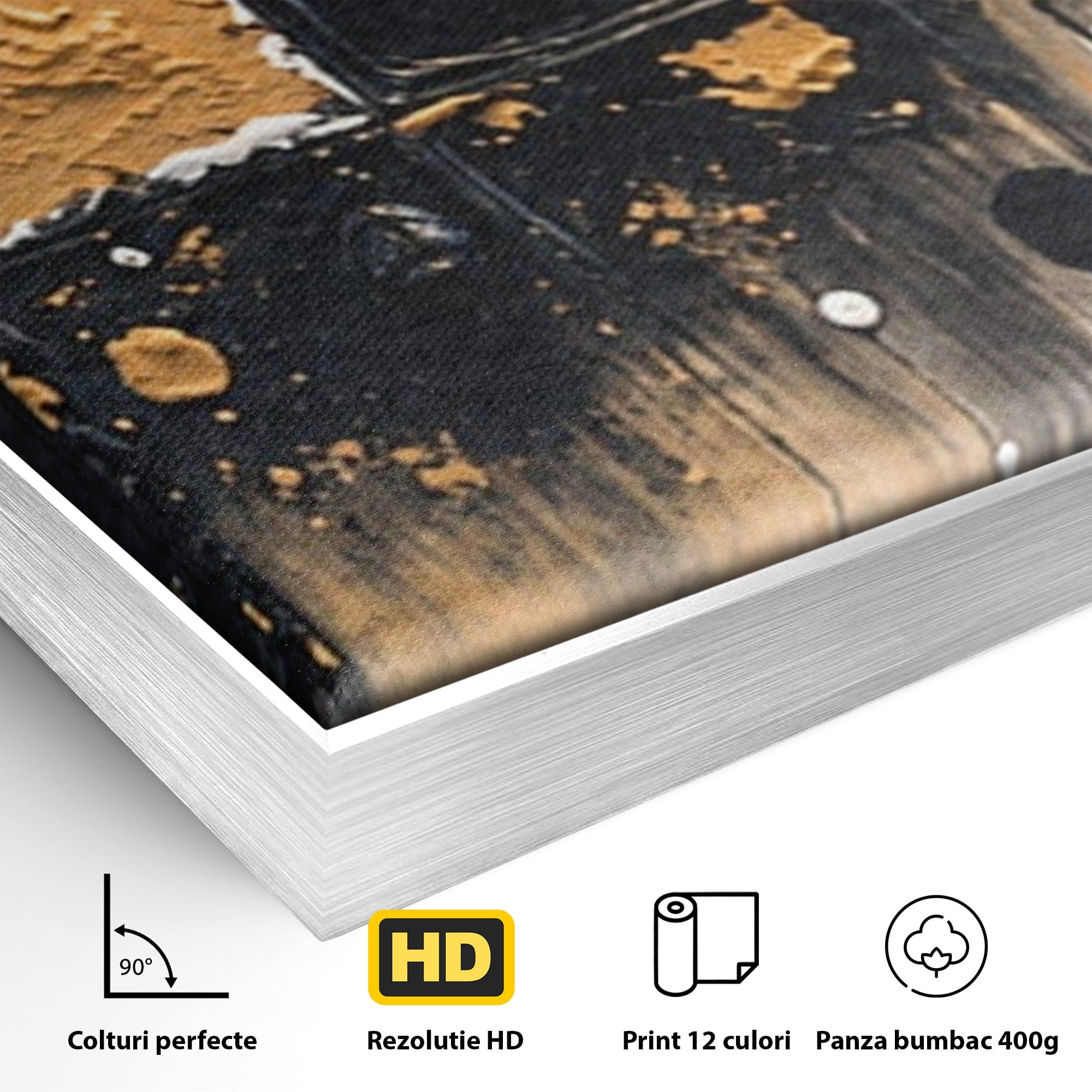 Set 2 Tablouri Canvas Premium LuxCanva® C2-1328, Abstractie Eleganta, Abstractie, Modern, Arta Contemporana, Textura, Living, Birou, Culori Vibrante
