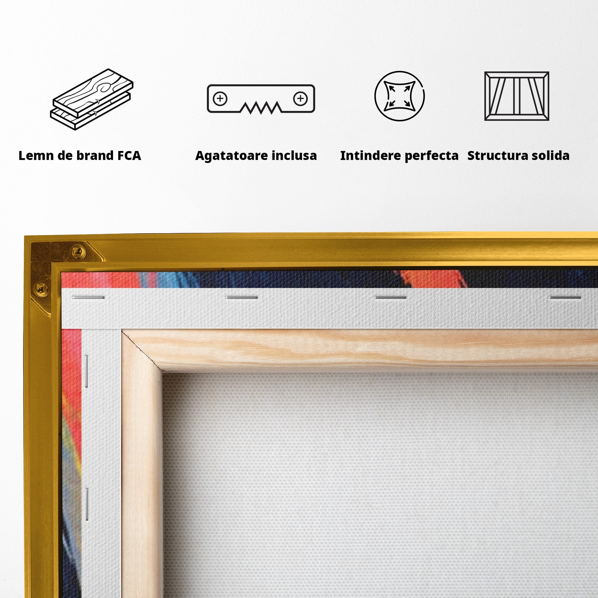 Set 2 Tablouri Canvas Premium LuxCanva® C2-1337, Abstract Dinamic, Abstract, Modern, Energetic, Living, Birou, Culori Vibrante