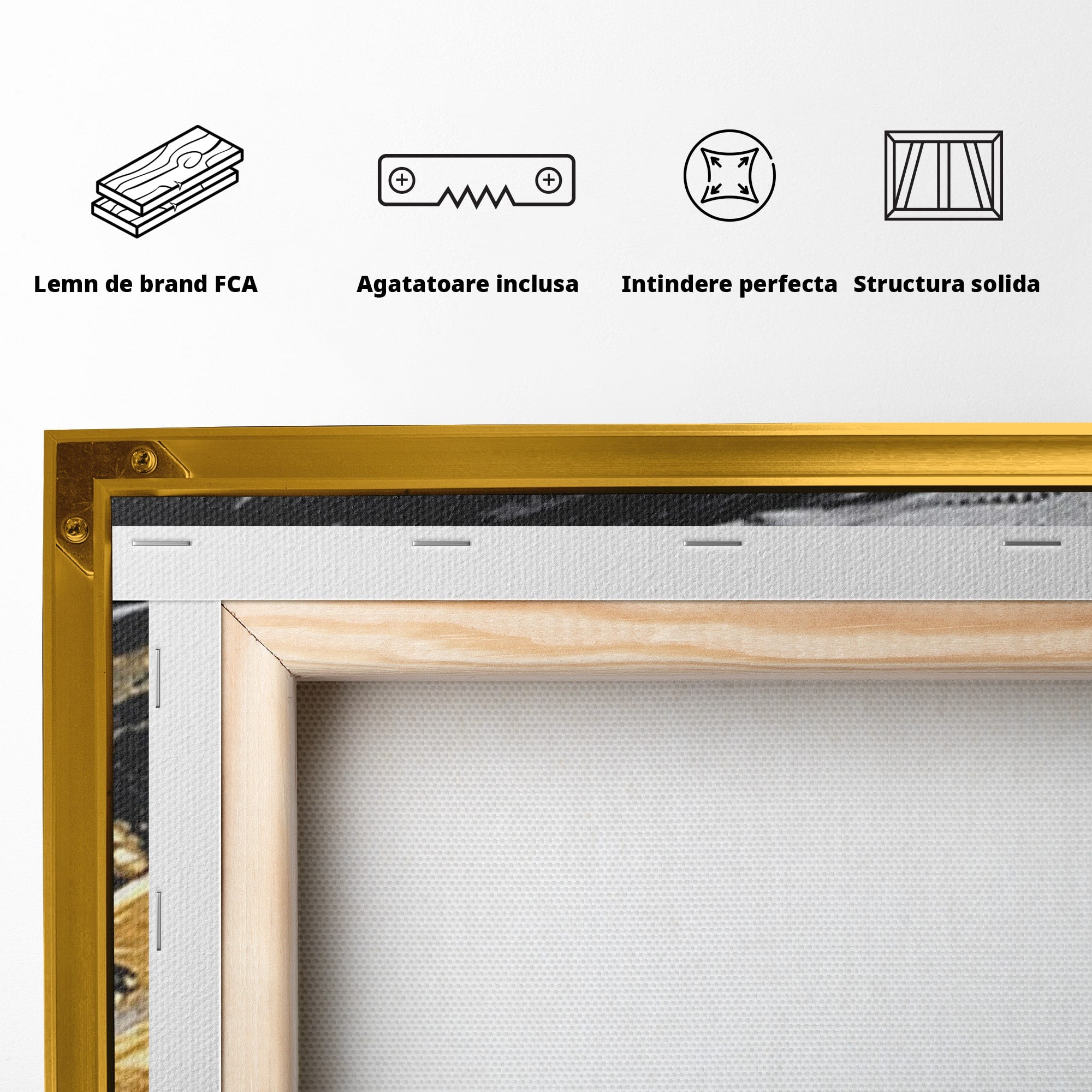 Set 2 Tablouri Canvas Premium LuxCanva® C2-1346, Valuri Abstractioniste, Abstractie, Textura, Modern, Eleganta, Living, Birou, Culori Vibrante