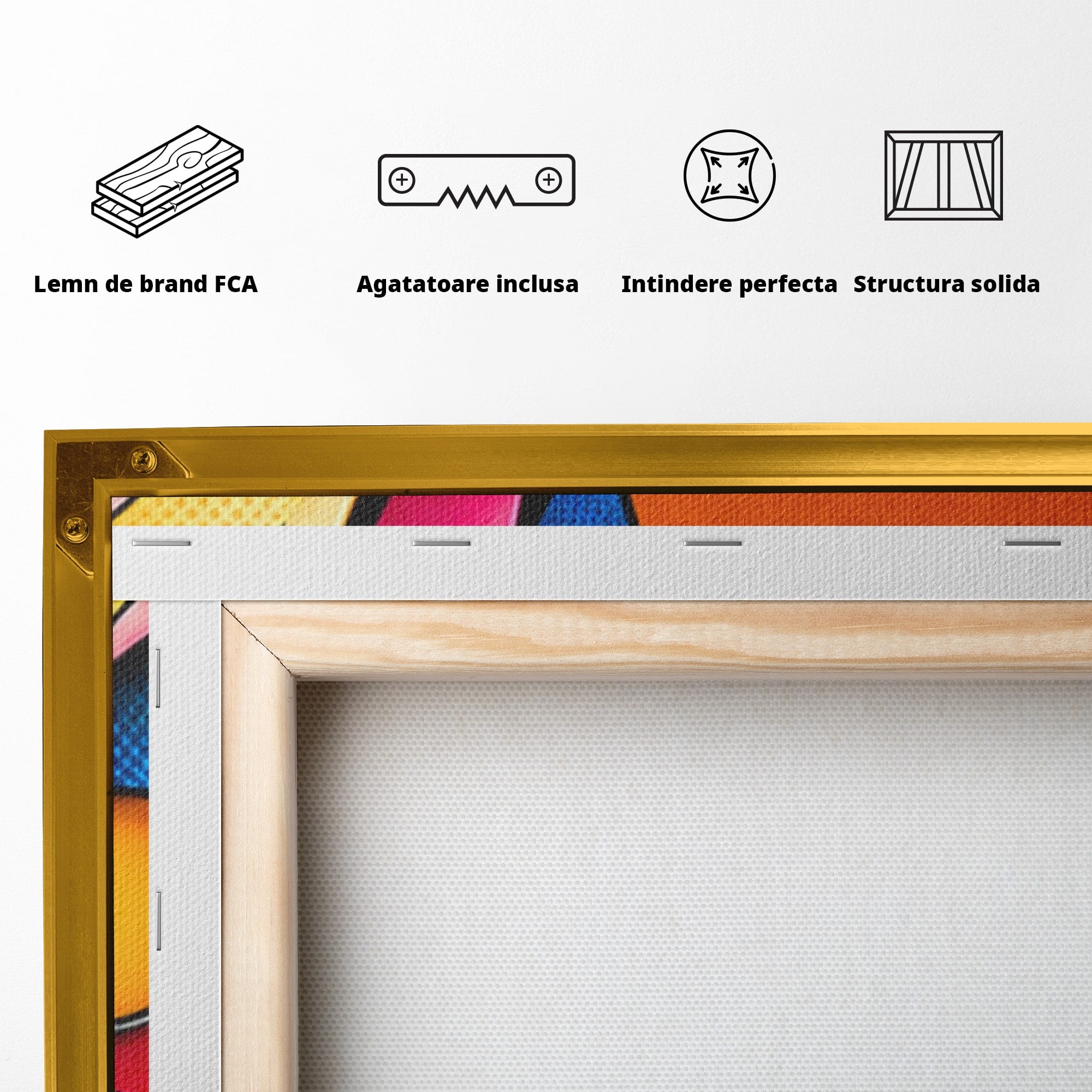 Set 2 Tablouri Canvas Premium LuxCanva® C2-1355, Abstract Dinamic, Abstract, Modern, Arta Contemporana, Energetic, Living, Culori Vibrante