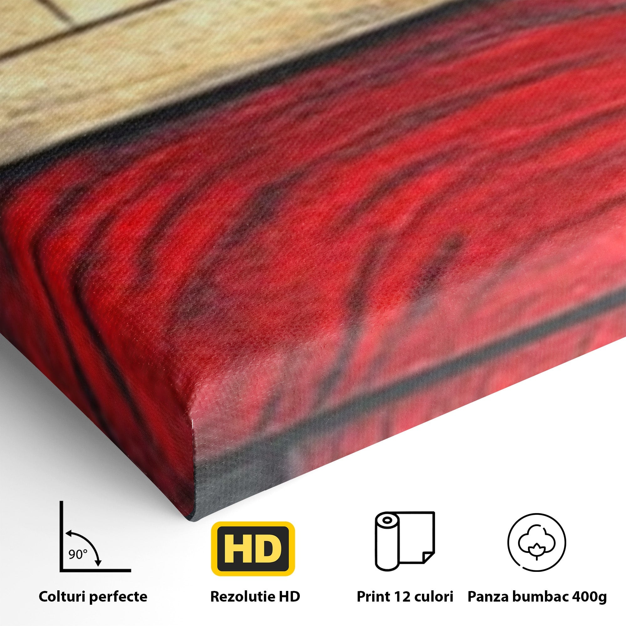 Set 3 Tablouri Canvas Premium LuxCanva® C3-1306, Ordinea pasiunii, Geometrie, Culori, Abstract, Auriu, Rosu, Negru, Minimalism, Design, Cerc, Labirint, Dorinta, Expozitie, Arta, Birou, Living, Dormitor