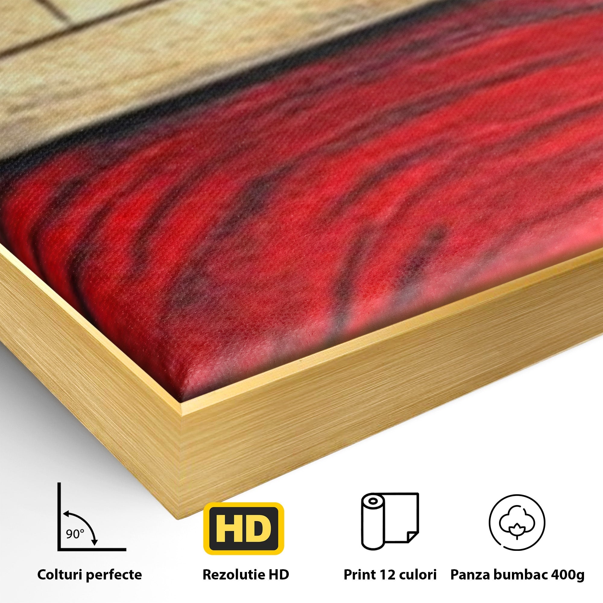 Set 3 Tablouri Canvas Premium LuxCanva® C3-1306, Ordinea pasiunii, Geometrie, Culori, Abstract, Auriu, Rosu, Negru, Minimalism, Design, Cerc, Labirint, Dorinta, Expozitie, Arta, Birou, Living, Dormitor