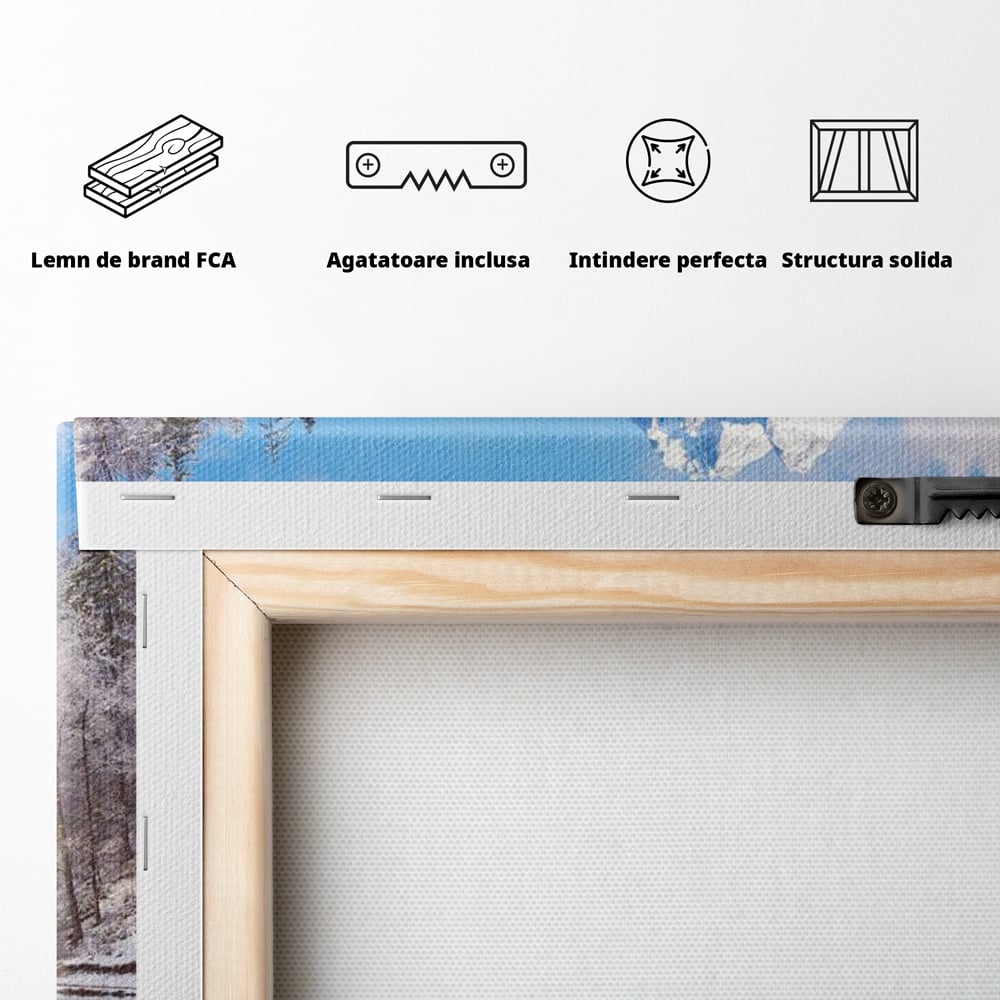 Tablou Canvas Premium LuxCanva® D1002, Peisaj de Iarna , Relaxare, Plimbare, Munti, Alb, Natura, Zapada, Living, Dormitor