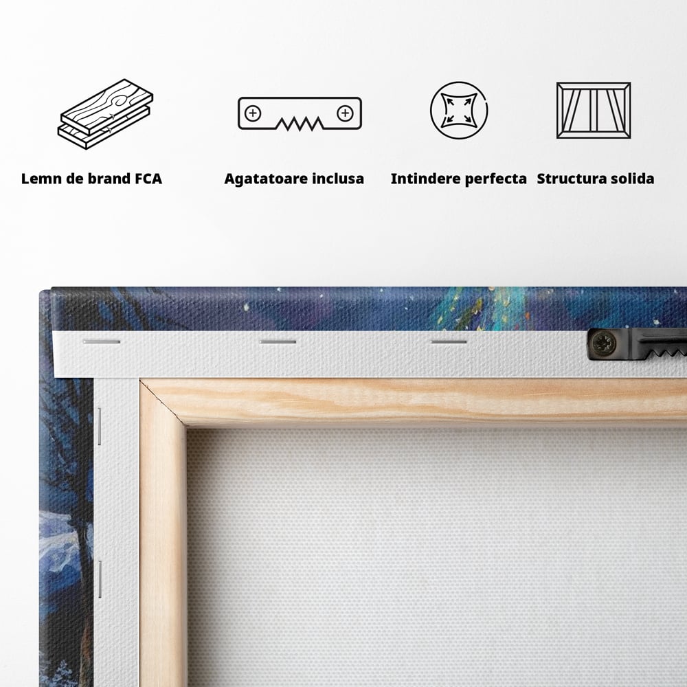 Tablou Canvas Premium LuxCanva® D1010, Noapte Inzapezita , Brad, Impodobit, Luminite, Noapte, Natura, Living Room, Culori vibrante