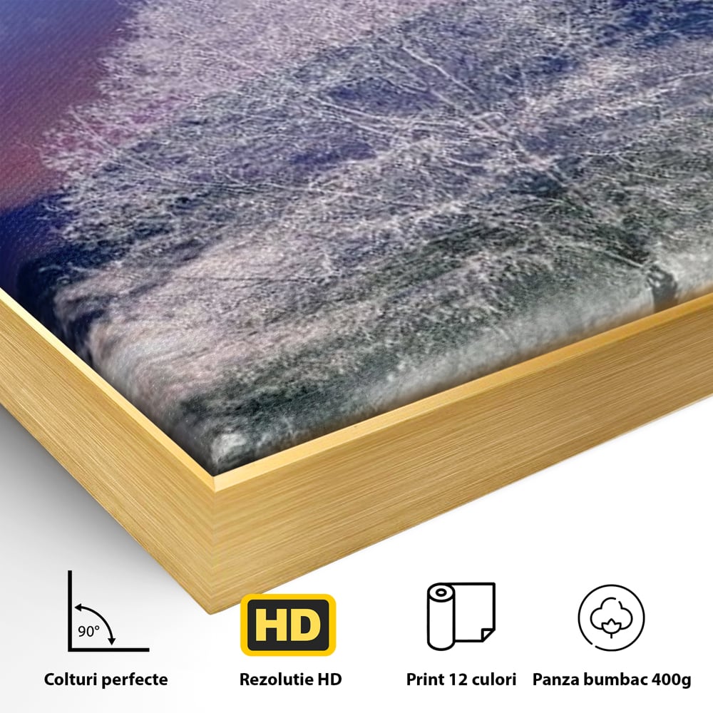 Tablou Canvas Premium LuxCanva® D1029, Scena de Iarna Fantasmica , Semiluna, Nori, Copac, Ramuri, Inghet, Living Room, Culori vibrante