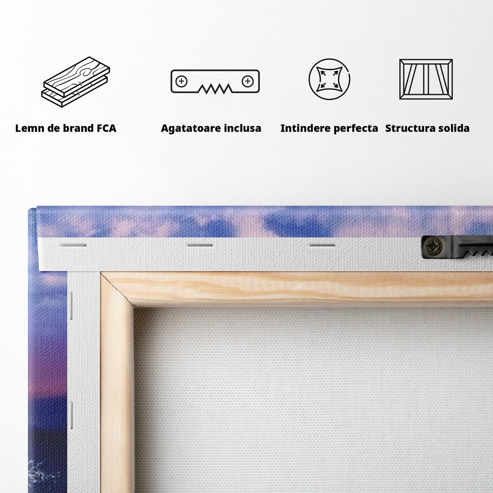 Tablou Canvas Premium LuxCanva® D1029, Scena de Iarna Fantasmica , Semiluna, Nori, Copac, Ramuri, Inghet, Living Room, Culori vibrante