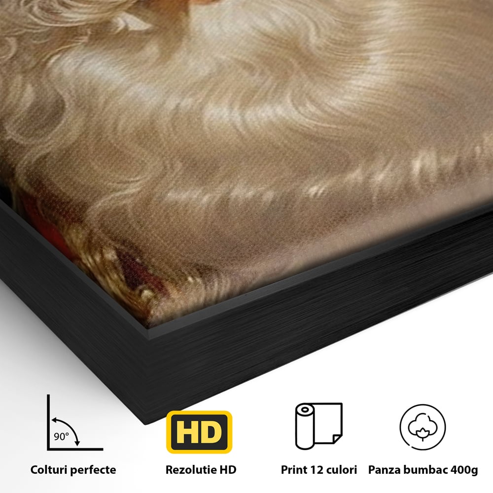 Tablou Canvas Premium LuxCanva® D1035, Zambetul lui Mos Craciun , Barba, Alba, Santa Claus, Bucurie, Zambet, Living Room, Culori vibrante