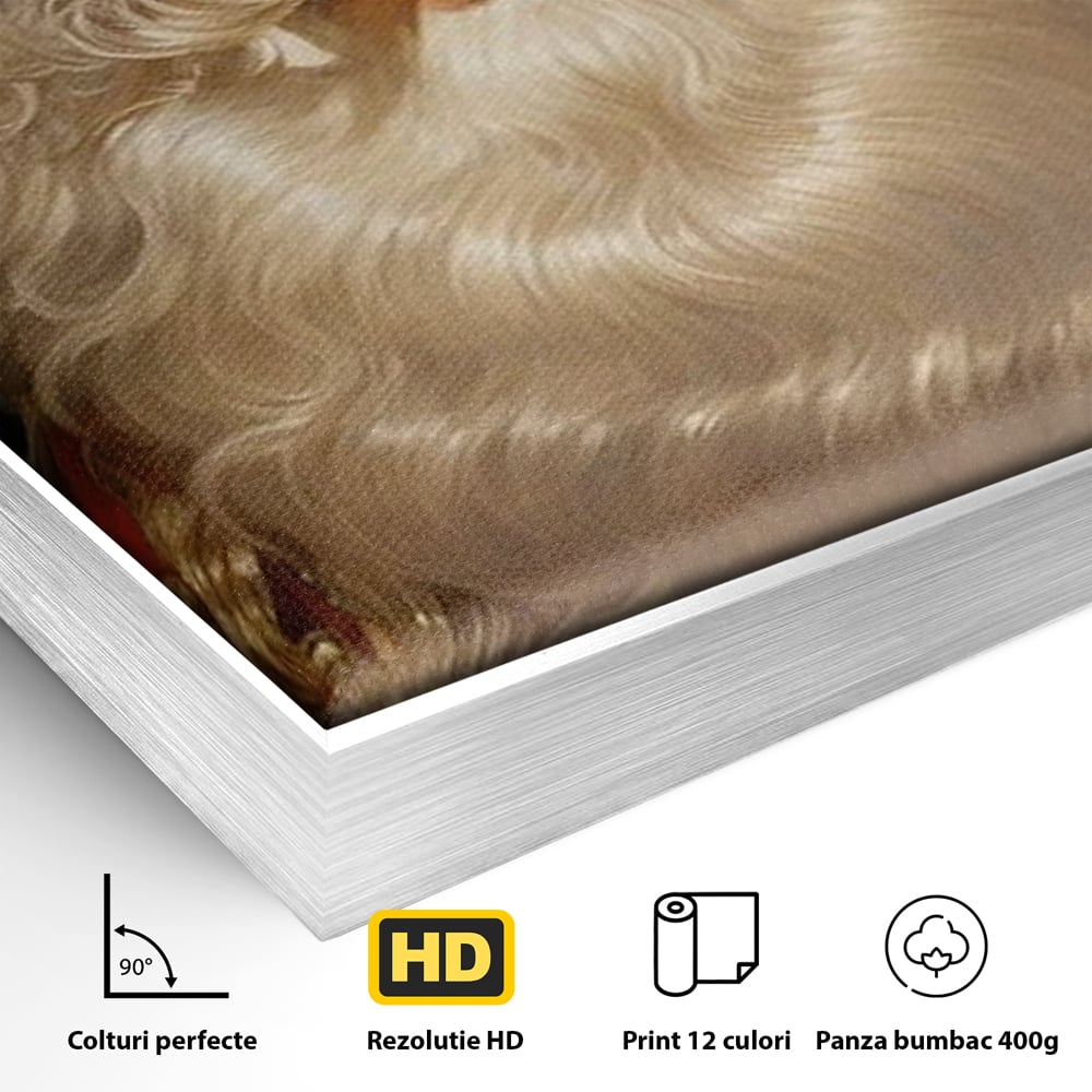 Tablou Canvas Premium LuxCanva® D1035, Zambetul lui Mos Craciun , Barba, Alba, Santa Claus, Bucurie, Zambet, Living Room, Culori vibrante
