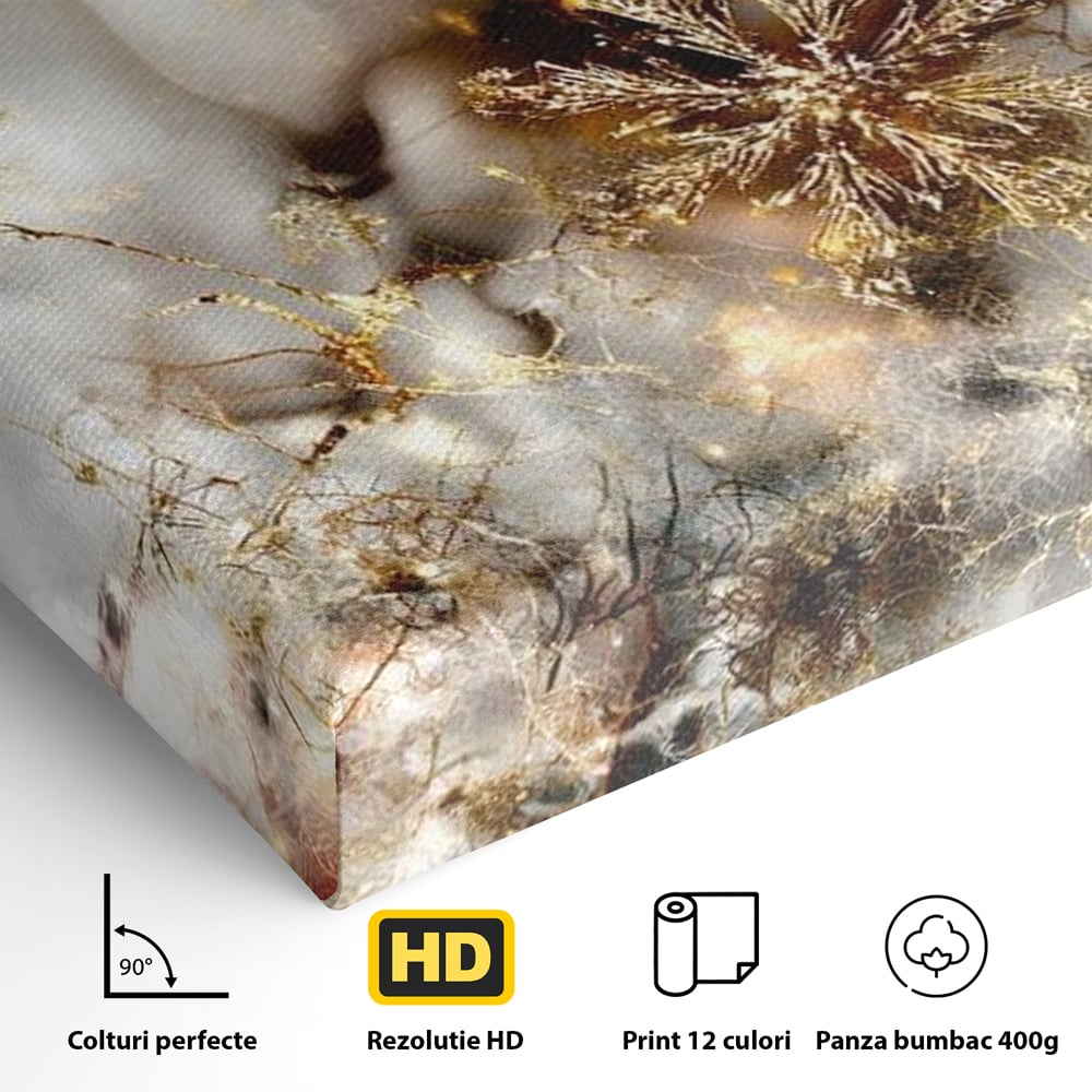 Tablou Canvas Premium, LuxCanva® D1067, Sclipire Inghetata, Aur, Iarna, Fragilitate, Fulgi, Lumina, Cristal,Dans, Alb, Eleganta, Rafinament, Frumusete, Abstracta, Stralucire, Camera Copil, Living, Dormitor