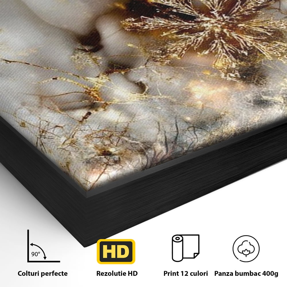 Tablou Canvas Premium, LuxCanva® D1067, Sclipire Inghetata, Aur, Iarna, Fragilitate, Fulgi, Lumina, Cristal,Dans, Alb, Eleganta, Rafinament, Frumusete, Abstracta, Stralucire, Camera Copil, Living, Dormitor