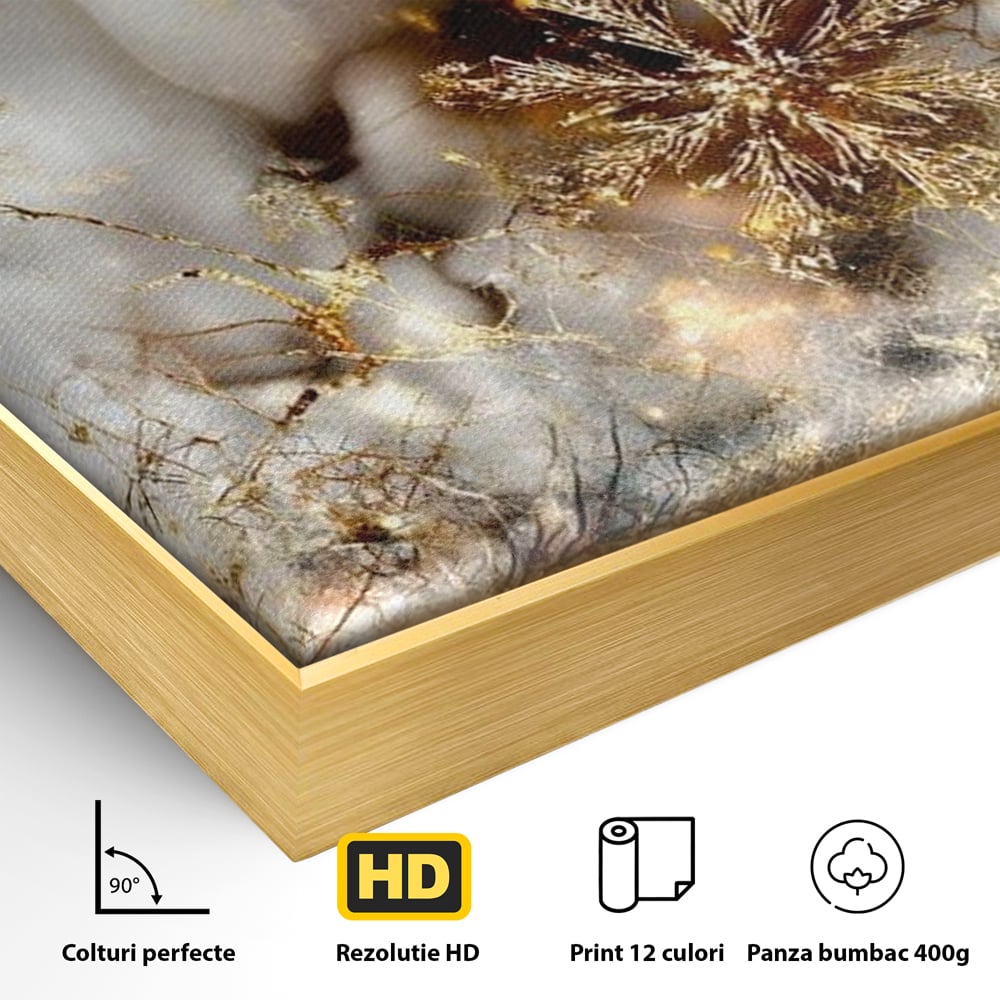 Tablou Canvas Premium, LuxCanva® D1067, Sclipire Inghetata, Aur, Iarna, Fragilitate, Fulgi, Lumina, Cristal,Dans, Alb, Eleganta, Rafinament, Frumusete, Abstracta, Stralucire, Camera Copil, Living, Dormitor