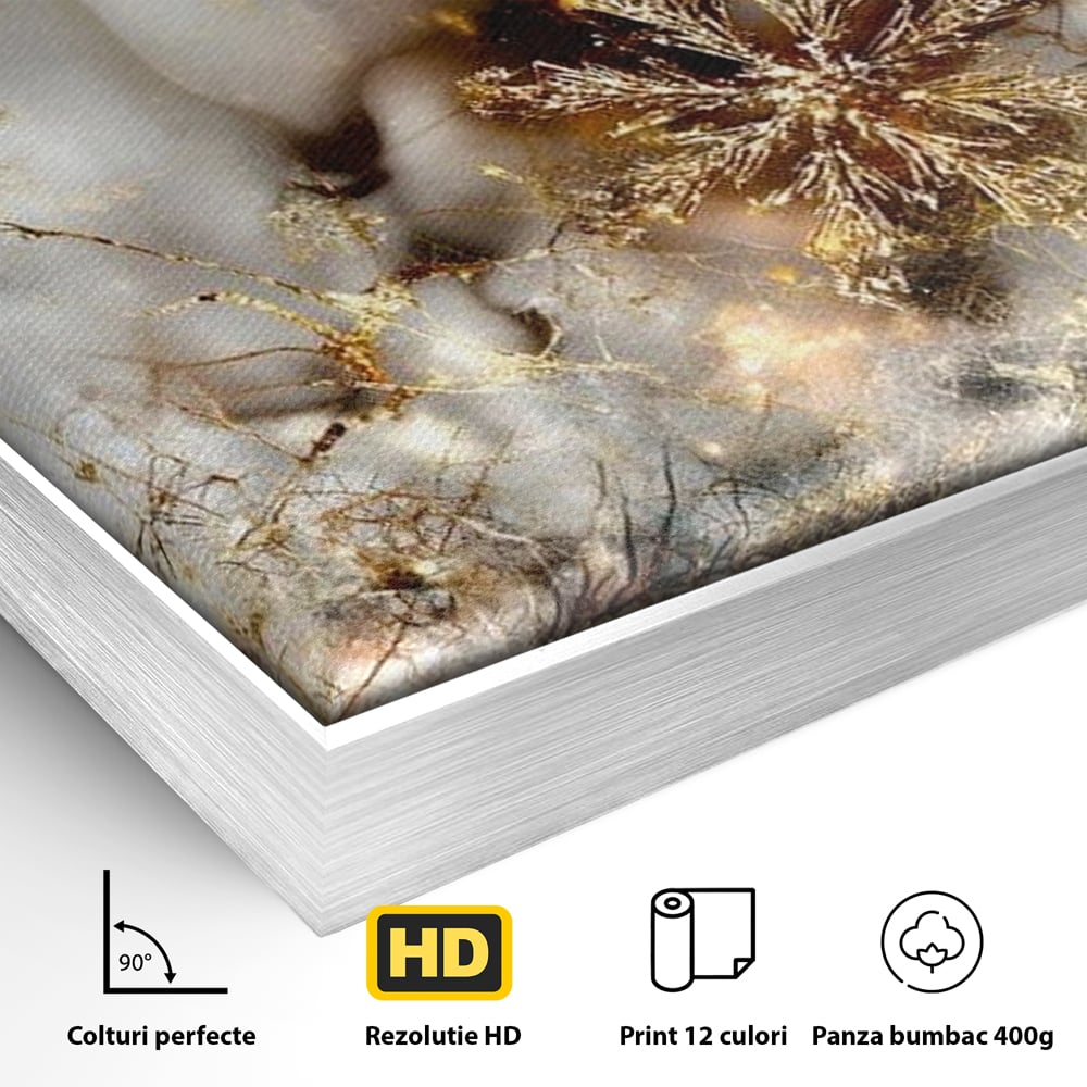 Tablou Canvas Premium, LuxCanva® D1067, Sclipire Inghetata, Aur, Iarna, Fragilitate, Fulgi, Lumina, Cristal,Dans, Alb, Eleganta, Rafinament, Frumusete, Abstracta, Stralucire, Camera Copil, Living, Dormitor
