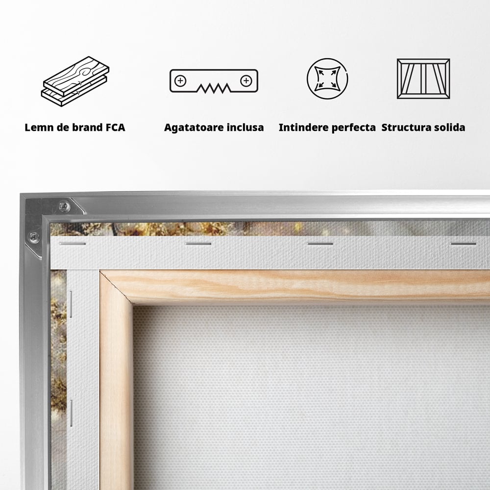 Tablou Canvas Premium, LuxCanva® D1067, Sclipire Inghetata, Aur, Iarna, Fragilitate, Fulgi, Lumina, Cristal,Dans, Alb, Eleganta, Rafinament, Frumusete, Abstracta, Stralucire, Camera Copil, Living, Dormitor