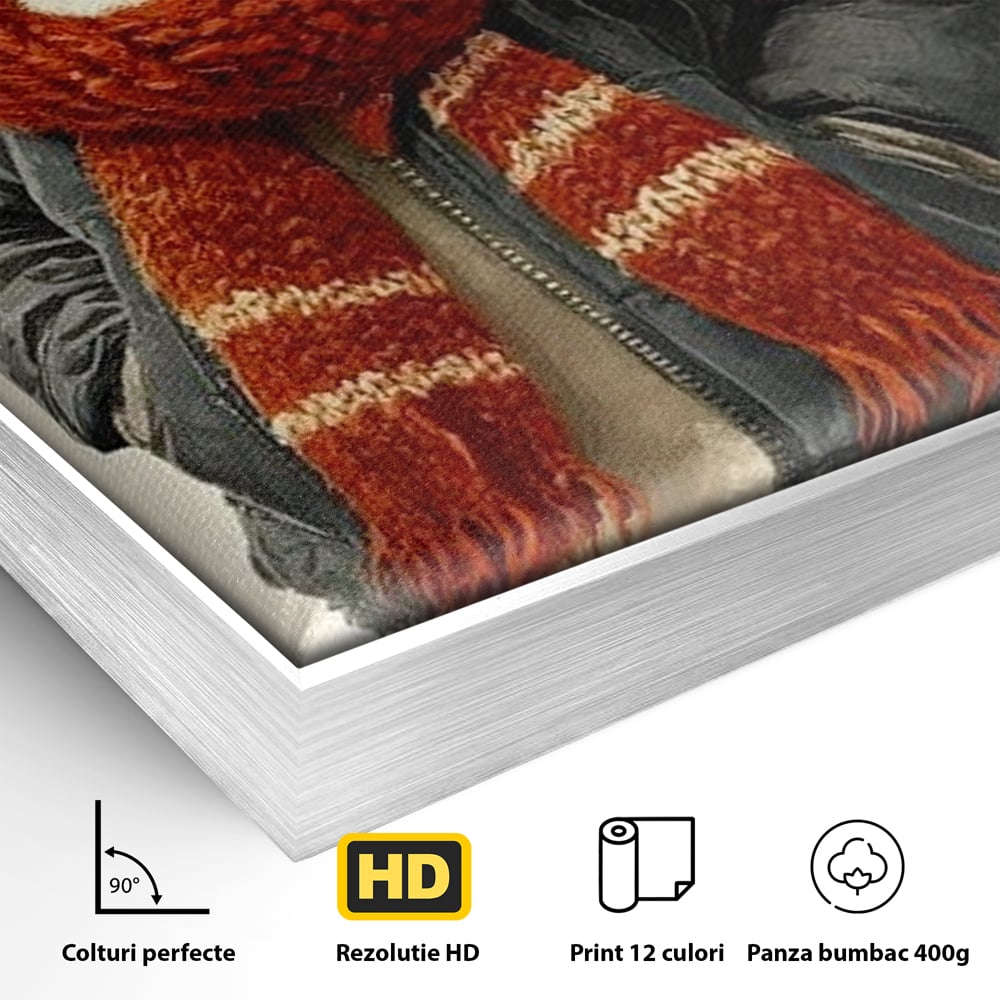 Tablou Canvas Premium, LuxCanva® D1073, Mos Rata,  Craciun, Caciula, Fular, Rosu, Geaca, Haios, Originalitate, Umor, Veselie, Pene, Plimbare, Ograda, Fashion, Copilarie, Camera Copil, Living, Dormitor