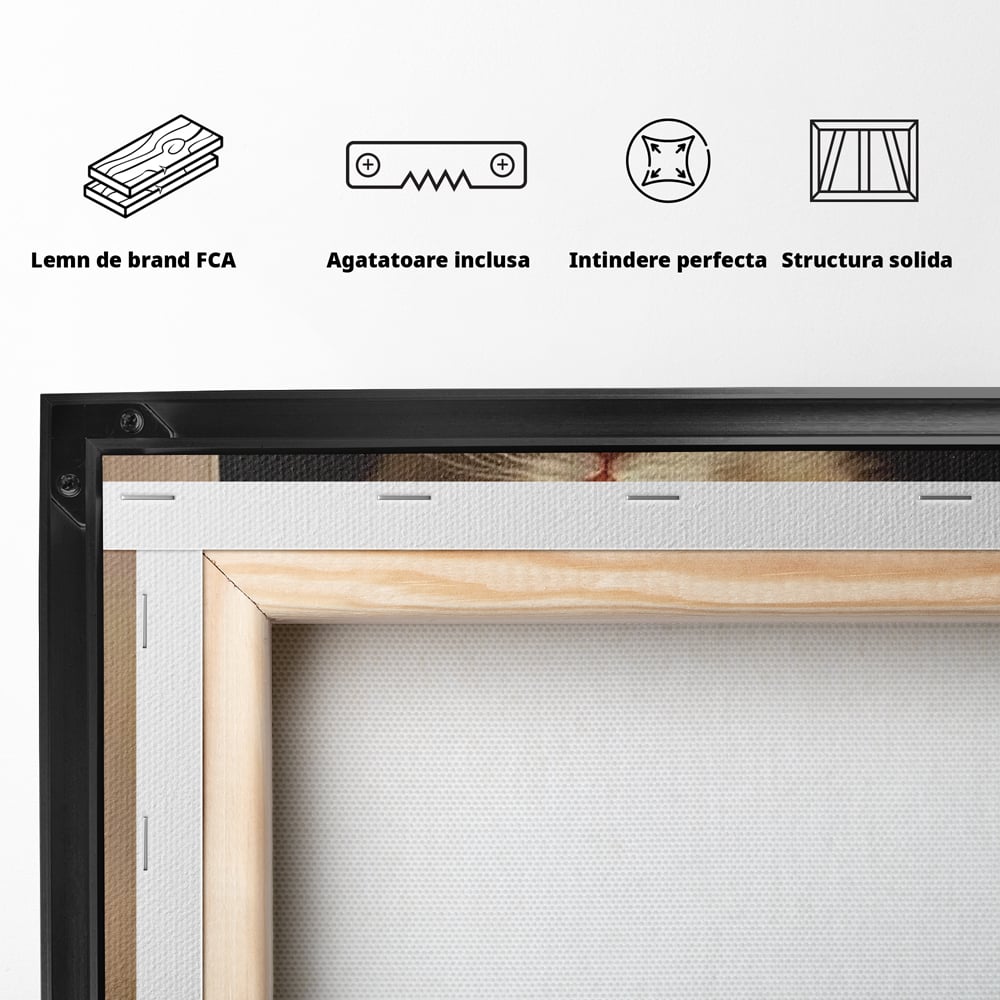 Tablou Canvas Premium, LuxCanva® D1087, Blanita de Poveste, Pisoi, Cadou, Pufos, Blanita, Pui, Spirit, Jucaus, Funda, Dragalas, Felina, Globuri, Rosu, Auriu, Bradut, Cadou, Camera Copil, Living, Dormitor