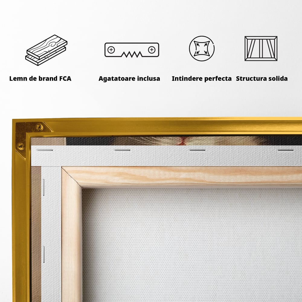 Tablou Canvas Premium, LuxCanva® D1087, Blanita de Poveste, Pisoi, Cadou, Pufos, Blanita, Pui, Spirit, Jucaus, Funda, Dragalas, Felina, Globuri, Rosu, Auriu, Bradut, Cadou, Camera Copil, Living, Dormitor