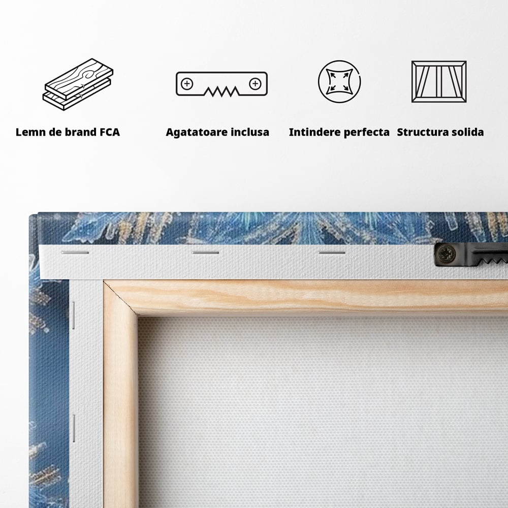 Tablou Canvas Premium, LuxCanva® D1127, Magia Unui Fulg, Fulg, Nea, Gheata, Ger, Sclipire, Cristal, Alb, Albastru, Iarna, Delicatete, Zapada, Fragilitate, Polar, Living, Dormitor