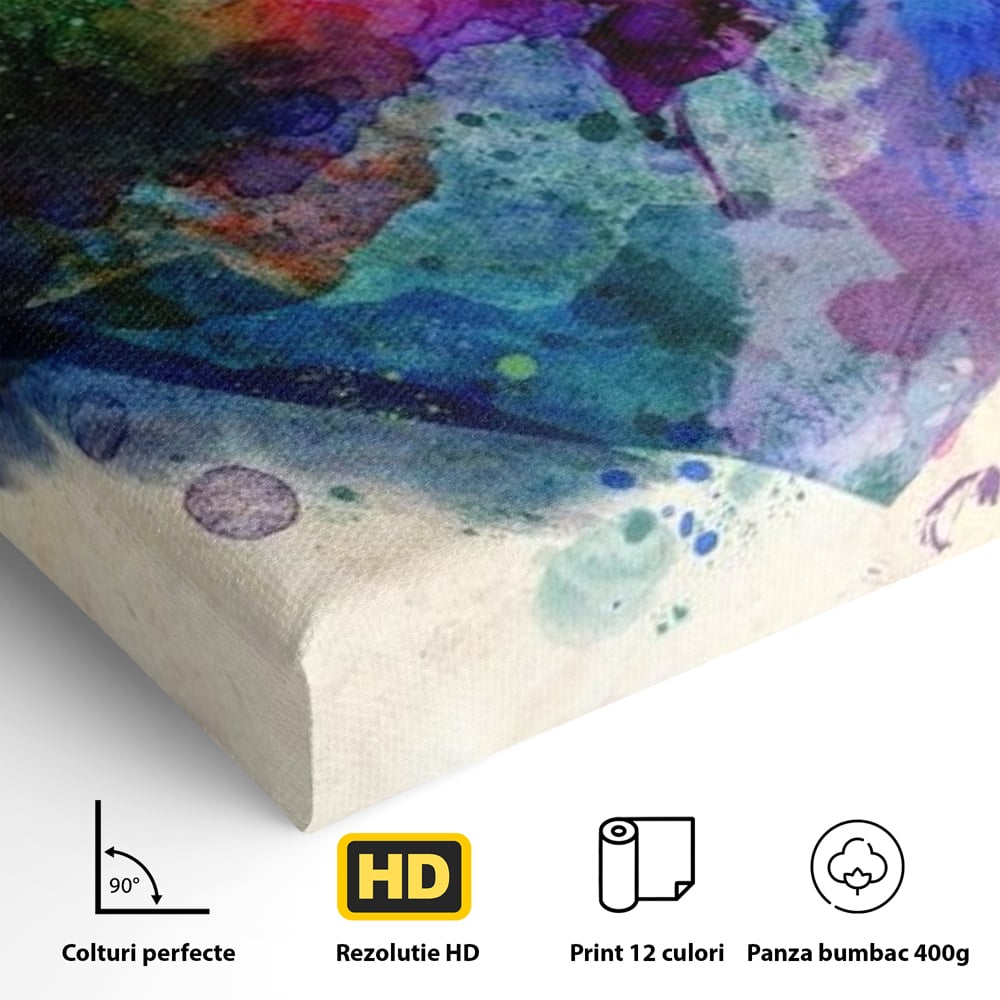 Tablou Canvas Premium LuxCanva® E1025, Suflet Pictat, Arta, Exprimare, Artistica, Inima, Emotie, Living Room, Culori vibrante